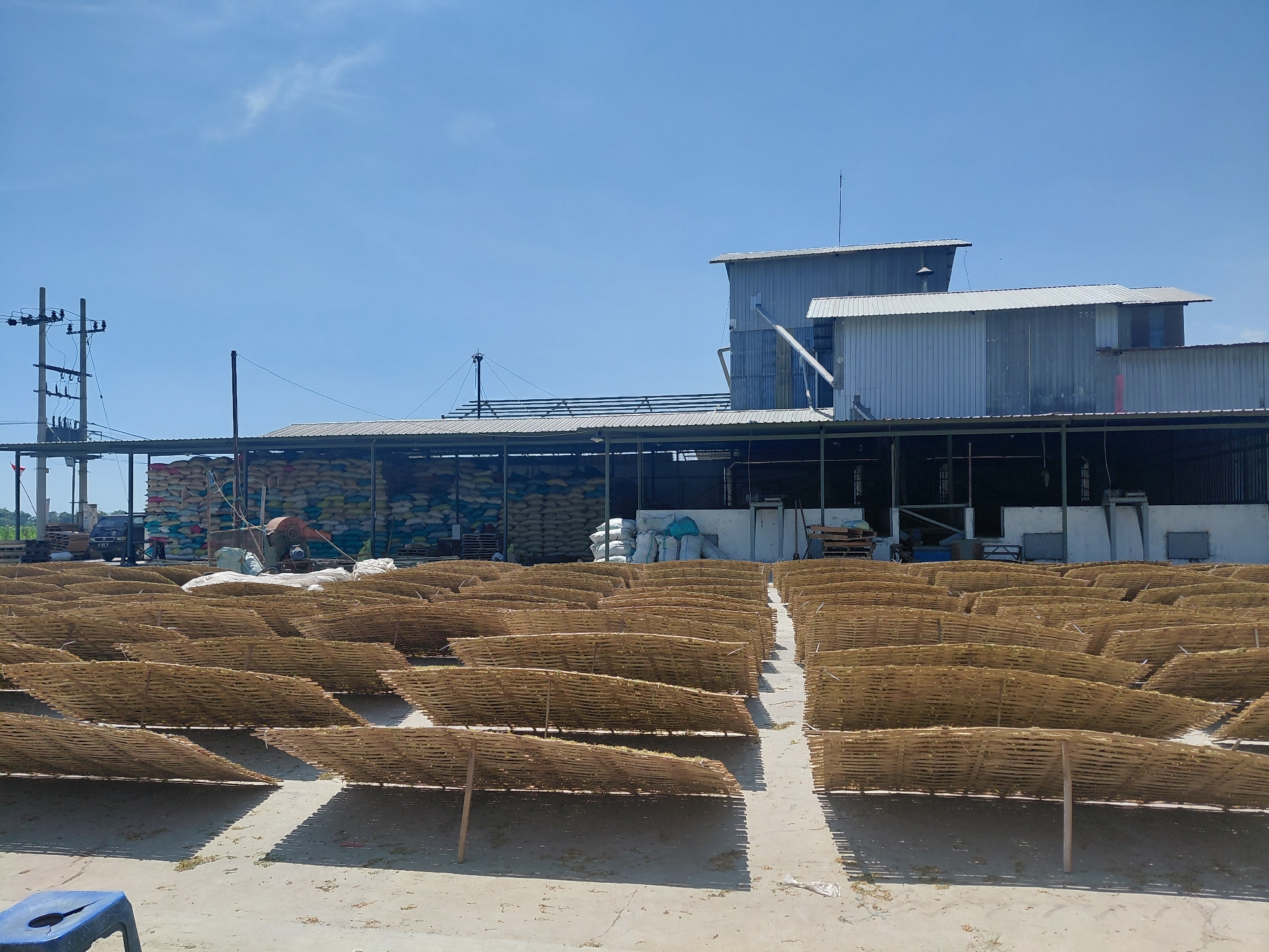 The image shows an outdoor drying area with rows of bamboo racks filled with a light brown material, likely tobacco leaves, spread out to dry under a clear blue sky. In the background, a large, industrial-style building with a corrugated metal roof and siding is visible, housing stacks of large sacks, presumably filled with agricultural products. A power line pole stands to the left of the building, and various pallets and equipment are scattered around the area. The ground is a concrete or dirt surface, with some loose debris scattered around the drying racks. The scene appears to be a processing facility or farm in Alas Tengah, Indonesia, where agricultural products are being dried and stored.