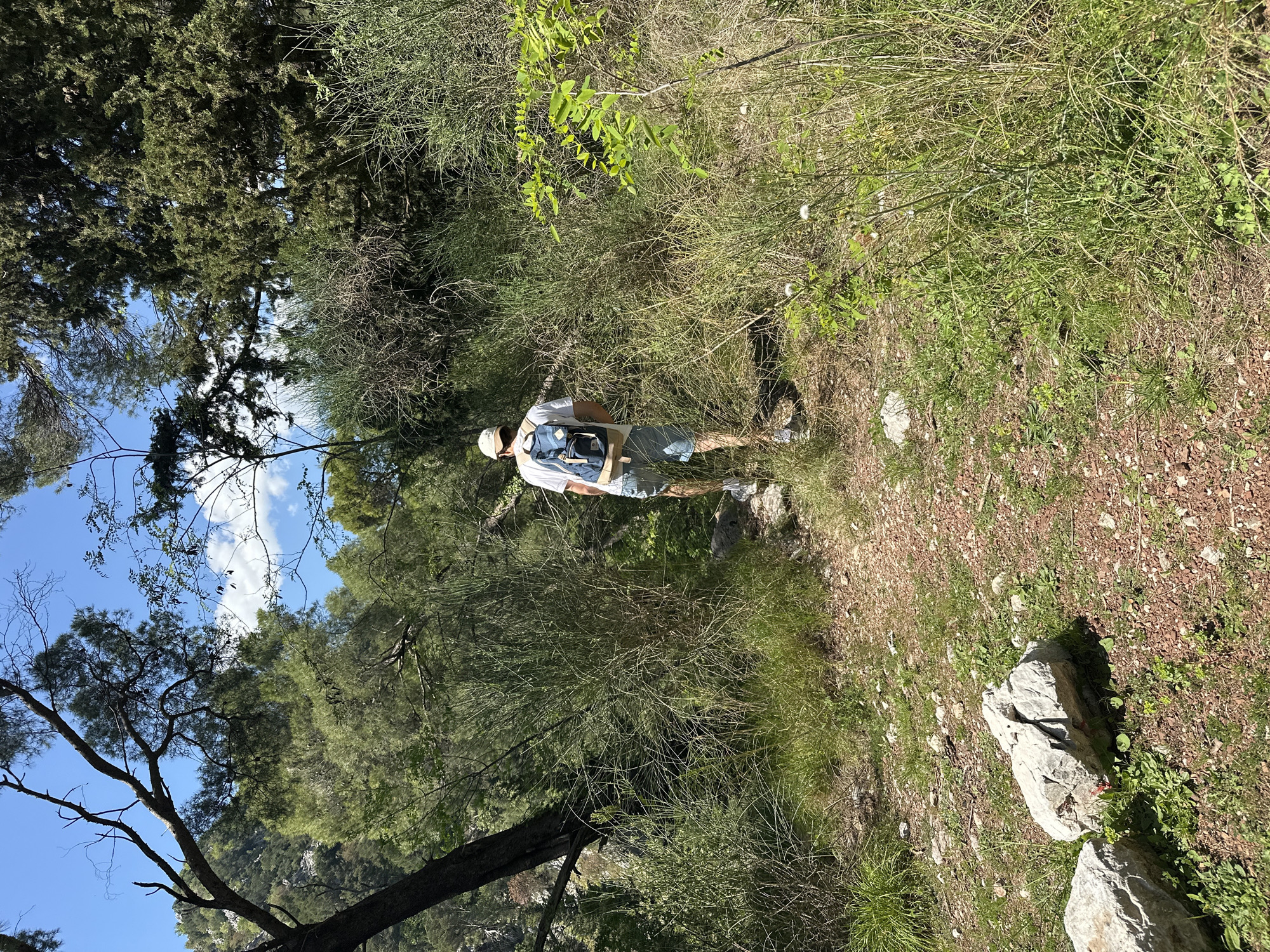 A man with a light complexion, wearing a white t-shirt, light blue shorts, a beige baseball cap, and a blue backpack, stands on a dirt path surrounded by dense green foliage. The path is littered with small stones and patches of grass. The man is positioned in the middle of the frame, facing away from the viewer.
The surrounding environment is a mix of trees and shrubs, with some taller trees visible in the background and on the left side of the frame, partially obscuring the sky. The sky is blue with scattered white clouds. The location is implied to be in a natural area near or in Budva, Montenegro, indicated by the Mediterranean vegetation and topography.