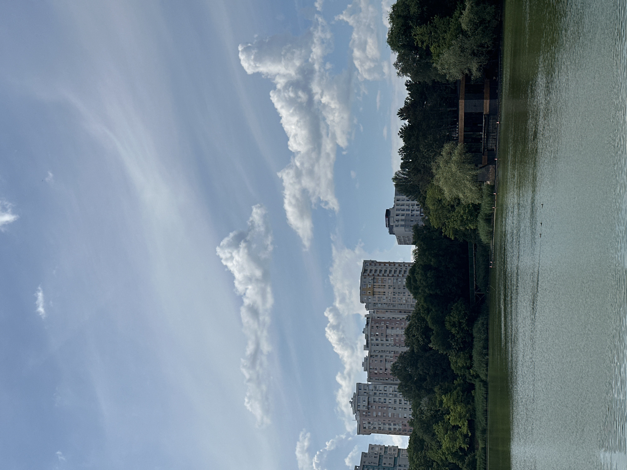 The image depicts a scenic view of the Chișinău Lake in Chișinău, Moldova. In the background, a line of multi-story residential buildings stands behind a dense strip of green trees. On the right side of the lake, a modern building with a wooden facade is visible, nestled amongst the trees. The water of the lake is a calm, greenish hue, with ripples on its surface. In the distance on the water, a few ducks can be seen swimming. The sky is partly cloudy, with fluffy white clouds against a pale blue backdrop, some of which are wispy and thin. The overall scene conveys a peaceful, urban-nature landscape.