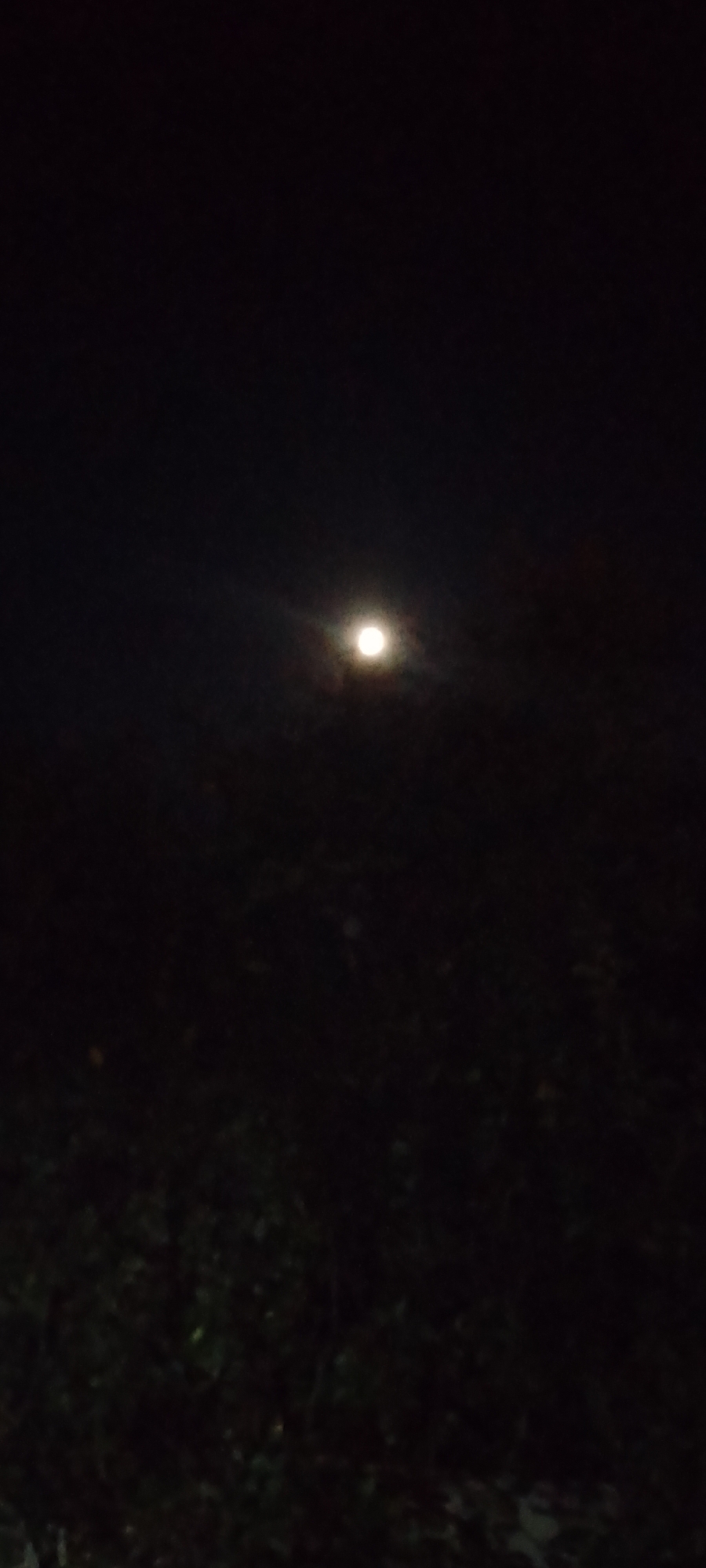 The image depicts a nighttime scene with a full moon prominently visible in the upper center. The moon is surrounded by a soft halo of light, and there are faint clouds or atmospheric haze obscuring parts of the sky. The lower half of the image is dark and blurry, suggesting foliage or the ground. It is impossible to determine the specific location within the city of Belgorod, Russia, from this image alone. There are no people, discernible objects, or specific actions captured. The environment is dark, consistent with a night scene in an outdoor setting.