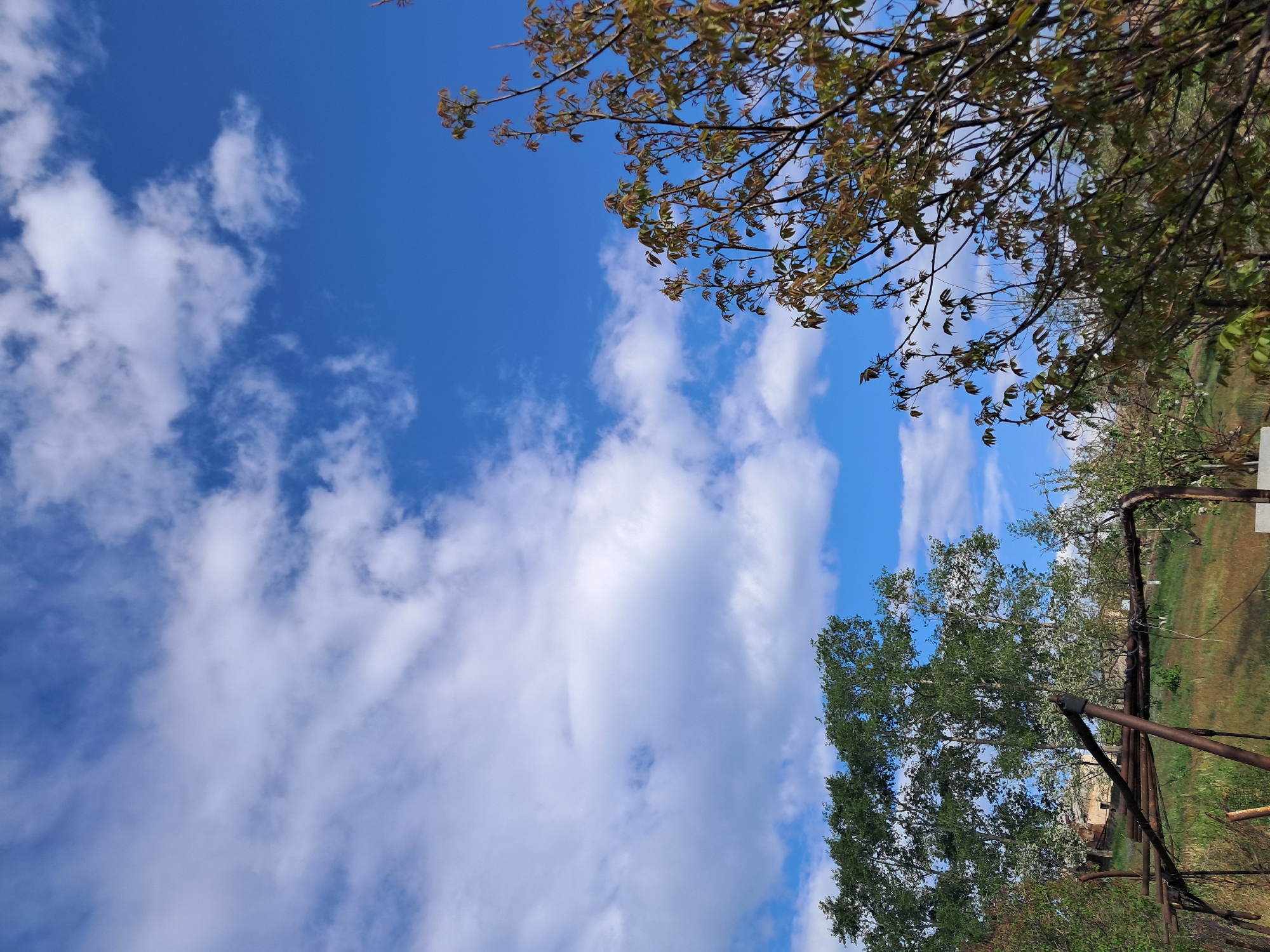 The image displays an outdoor scene looking upwards towards a bright blue sky dotted with scattered white cumulus clouds. In the upper part of the frame, branches of a deciduous tree with young, reddish-green leaves extend into view, suggesting spring or early summer. A larger tree with dense, mature green foliage is prominent in the lower right, partially obscuring a distant field of green grass and a faint, light-colored building in the background. A rusted, dark metal structure, possibly part of a gate or support, is also visible in the lower right foreground. The weather is clear and sunny during the daytime. No specific activity is taking place, and no text is visible. The scene evokes a natural, rural or semi-rural environment in Artsvakar, Armenia.