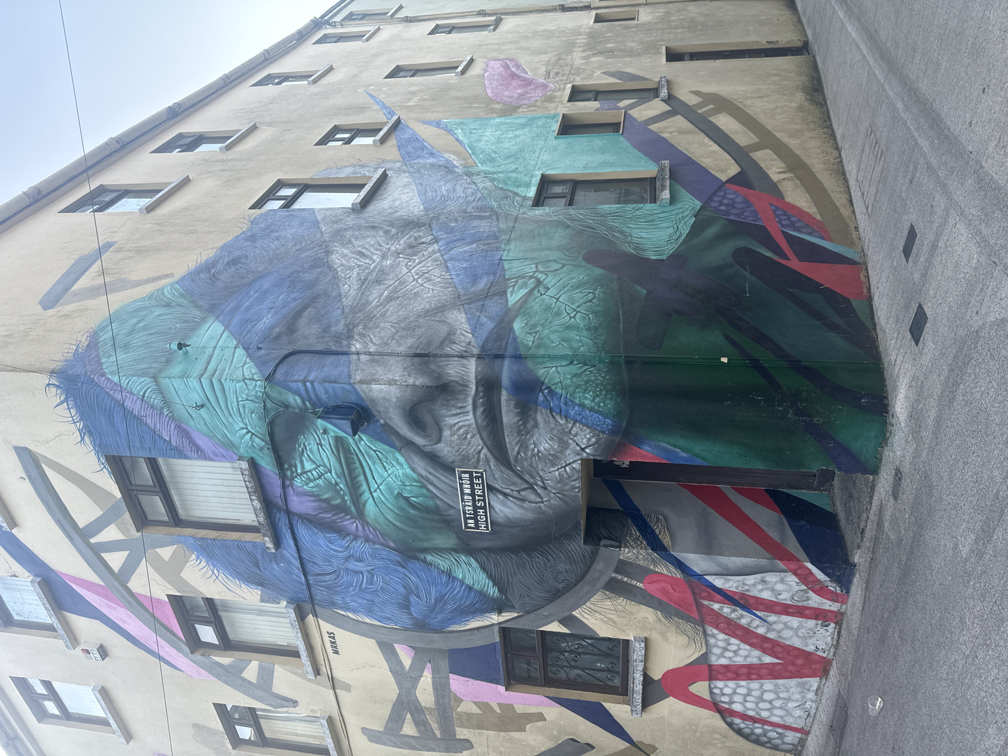This image depicts a large mural painted on the side of a building located at the intersection of High Street and an unnamed alleyway in Waterford, Ireland. The mural features a stylized portrait of a person, rendered in shades of blue, green, grey, and pink. The face is abstract and somewhat fragmented, with swirling lines and textured patterns. The mural is signed "MRKAS" in the upper left quadrant. A street sign reading "AN TSRAID MHÓIR HIGH STREET" is positioned on the building wall, partially obscured by the mural. The building itself is multi-story with visible windows and appears to be an apartment or commercial building. The street below is paved and empty, with a single discarded plastic cup visible on the pavement. The sky is overcast.