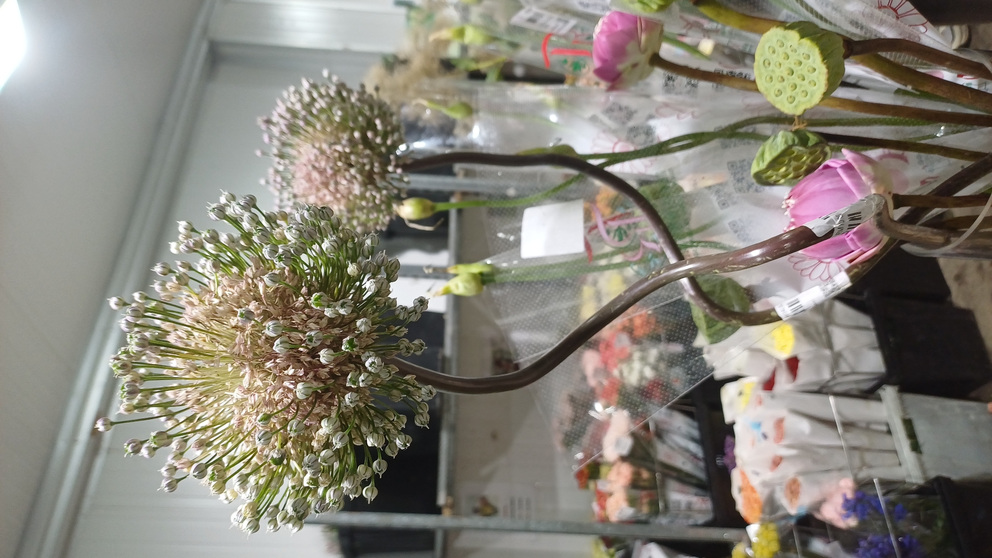 The image shows a close-up of several flowers, primarily Allium and Lotus varieties, arranged in a vase or container. The foreground is dominated by a large, spherical Allium flower with numerous small buds and developing seed heads, supported by a thick, dark, curved stem. To the right, several other floral elements are visible, including what appear to be pink lotus buds and mature green lotus seed pods. The background is blurred but suggests a retail environment, possibly a flower shop or market, with shelves displaying various wrapped bouquets of flowers. The lighting is bright, indicating an indoor setting with artificial illumination. There are no people or animals visible in the image, and no specific location in Kuala Lumpur, Malaysia, can be identified from the visual cues.