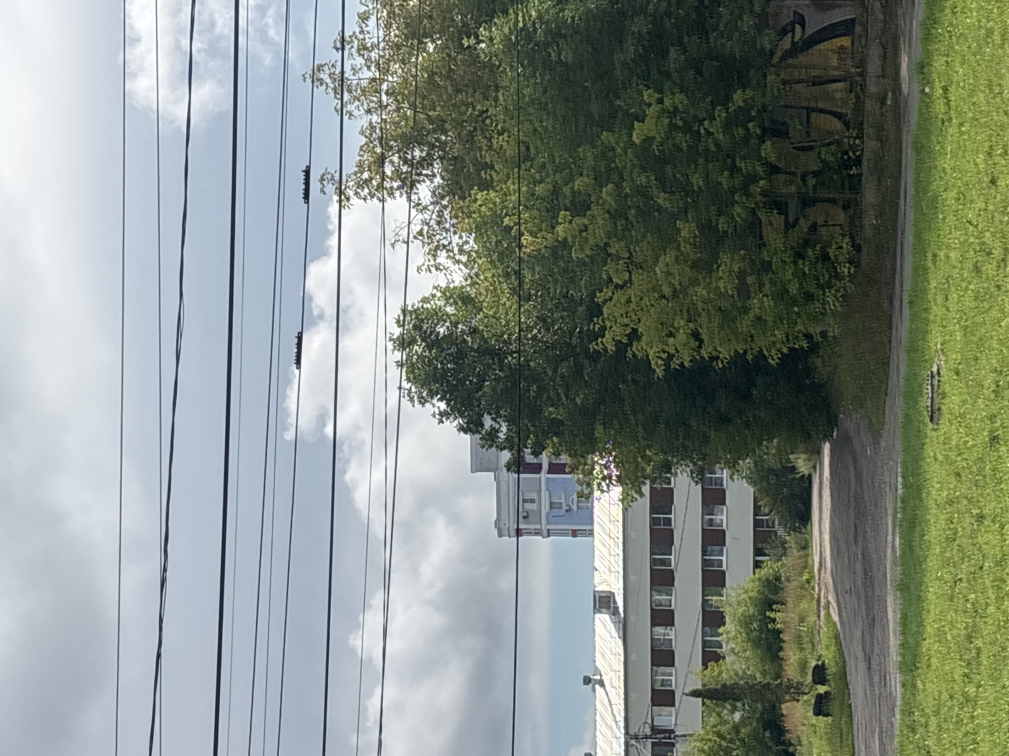 The image depicts a street scene with an overcast sky and power lines overhead. In the background, there are several buildings. The closest building is a long, multi-story structure with a white roof and rows of dark-framed windows. To the right of this building and partially obscuring it is a dense cluster of trees, with some graffiti visible on a concrete structure beneath the trees. Further in the background, a taller, multi-colored building with blue, grey, and red sections is visible. The foreground shows a grassy area and a dirt or asphalt road that curves away into the scene. There are no people visible in the image. The overall impression is one of an urban or semi-urban environment, possibly a residential or industrial area.