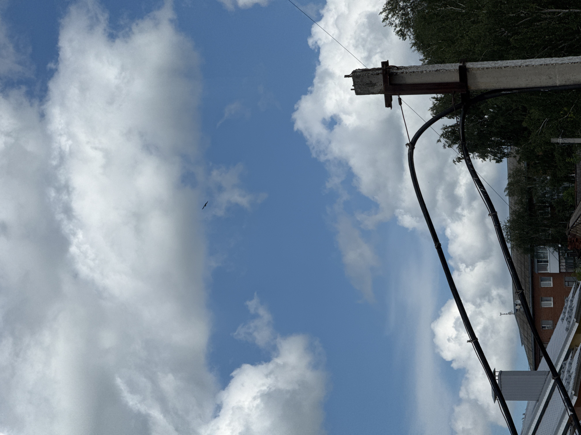 The image depicts a cloudy blue sky over a cityscape. In the foreground, a concrete utility pole with metal attachments stands on the right, supporting thick black cables that traverse the frame. Beyond the cables, buildings with grey and red-tiled roofs are visible, along with dense green trees. In the upper portion of the sky, a lone bird is captured in flight against the backdrop of large, fluffy white clouds. This scene appears to be in Votkinsk, Russia.