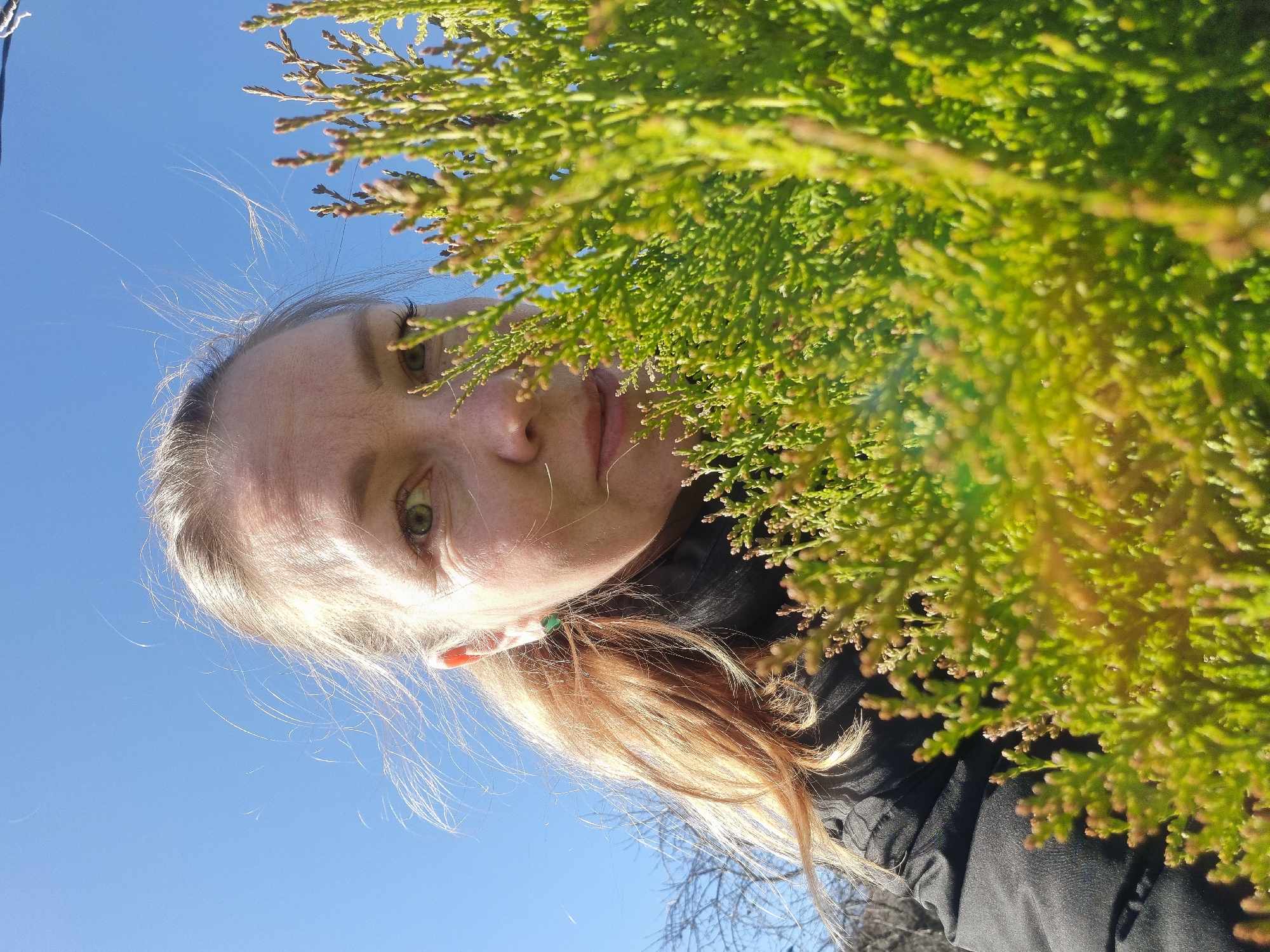 A selfie photograph shows a blonde woman partially obscured by green foliage against a blue sky. The woman's face is tilted upward and towards the left, her eyes looking directly at the camera. Her hair is partially blown in the wind. A dark jacket is visible. The foliage, likely a coniferous shrub, fills the right side and upper portion of the frame. The image was taken outdoors on a sunny day. There is no evidence to confirm the location of the photo in Chaikovsky, Russia.