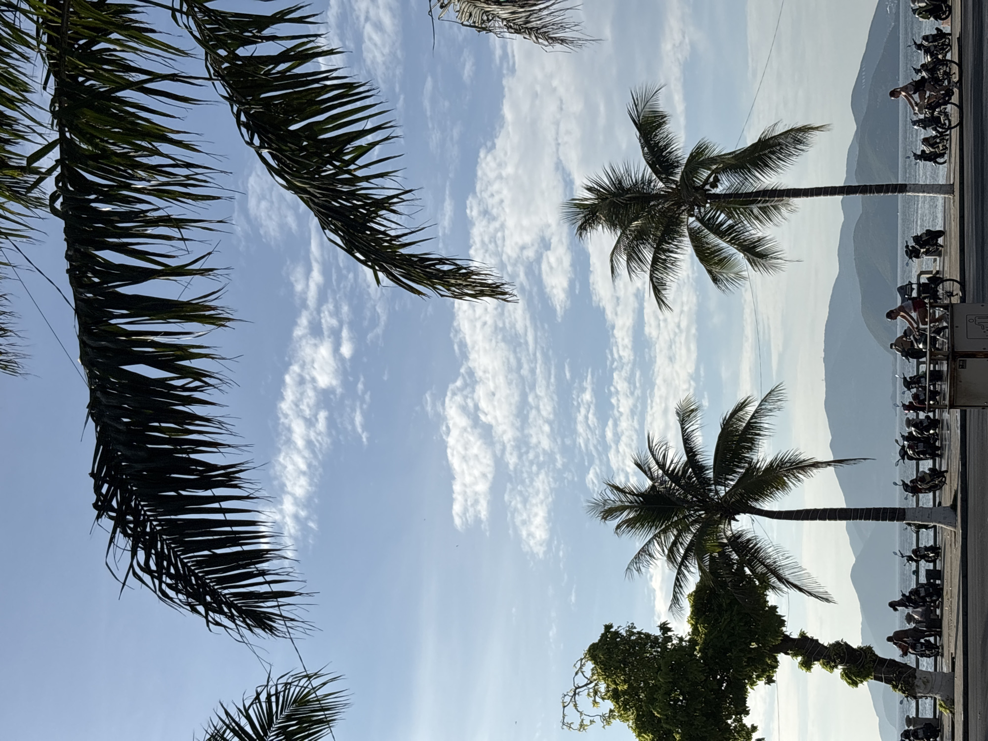 In Nha Trang, Vietnam, a coastal scene unfolds under a bright, partially cloudy sky, framed by the dark fronds of palm trees. In the foreground, a paved walkway runs parallel to the sea, lined with numerous parked motorcycles. To the left, a lone tree with a twisted trunk and lush green foliage stands tall. To its right, a slender palm tree with a rough, textured trunk rises, its fronds reaching towards the sky. Further to the right, another, fuller palm tree dominates the mid-ground, its coconuts visible among the leaves.
The sea stretches out beyond the walkway, with a hazy mountain range visible in the distance, its peaks softened by the atmospheric perspective. The water appears calm, reflecting the soft light of the day.
On the walkway, a few individuals are present. Near the lone tree, two people appear to be interacting, one standing and the other seated. Further along, two women are riding bicycles. One woman, wearing a white top and red shorts, cycles to the left, while another woman, in a dark top and shorts, rides her bicycle to the right. Both are on a paved path, presumably part of the seaside promenade. The motorcycles are parked in a neat row, suggesting a common mode of transportation in this area. A small white structure with some signage is also visible on the lower right of the frame. The overall impression is one of a relaxed, tropical day in a coastal Vietnamese city.