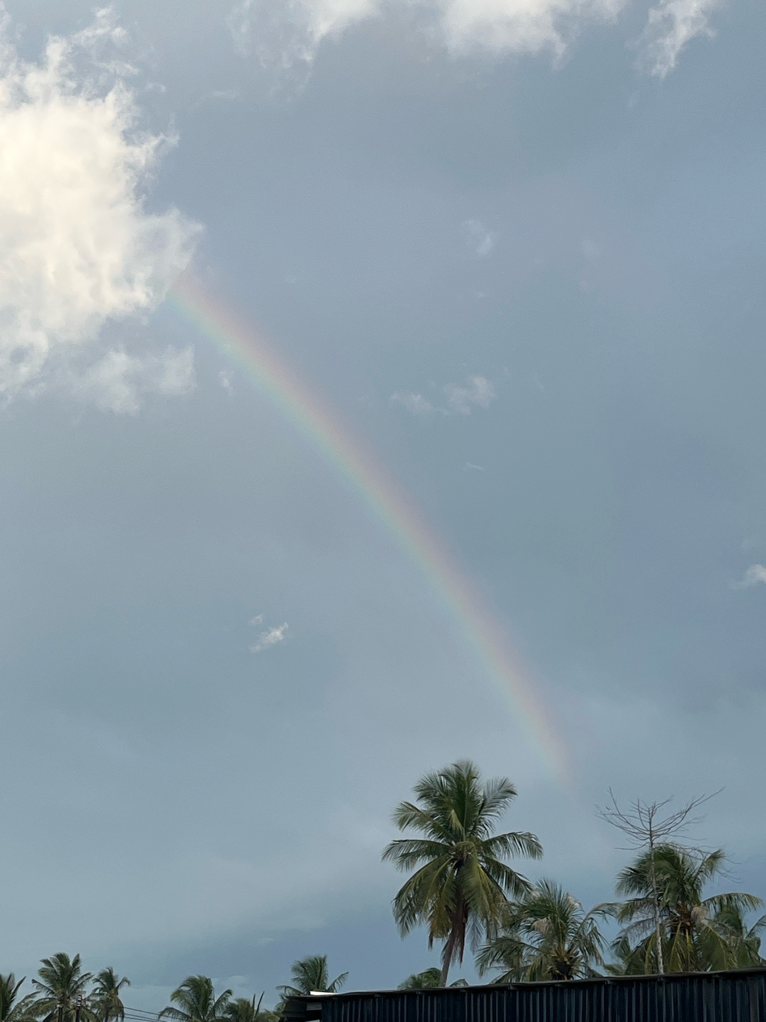 This image depicts a post-rain sky over Lampeuneurutgampong, Indonesia. A faint rainbow arcs across the pale blue and grey sky, with fluffy white clouds scattered around. In the foreground, several palm trees with green fronds stand tall, and a dark, slatted structure runs along the bottom of the frame. A dead tree with bare branches is visible among the palm trees on the right. The overall scene suggests a tropical climate.