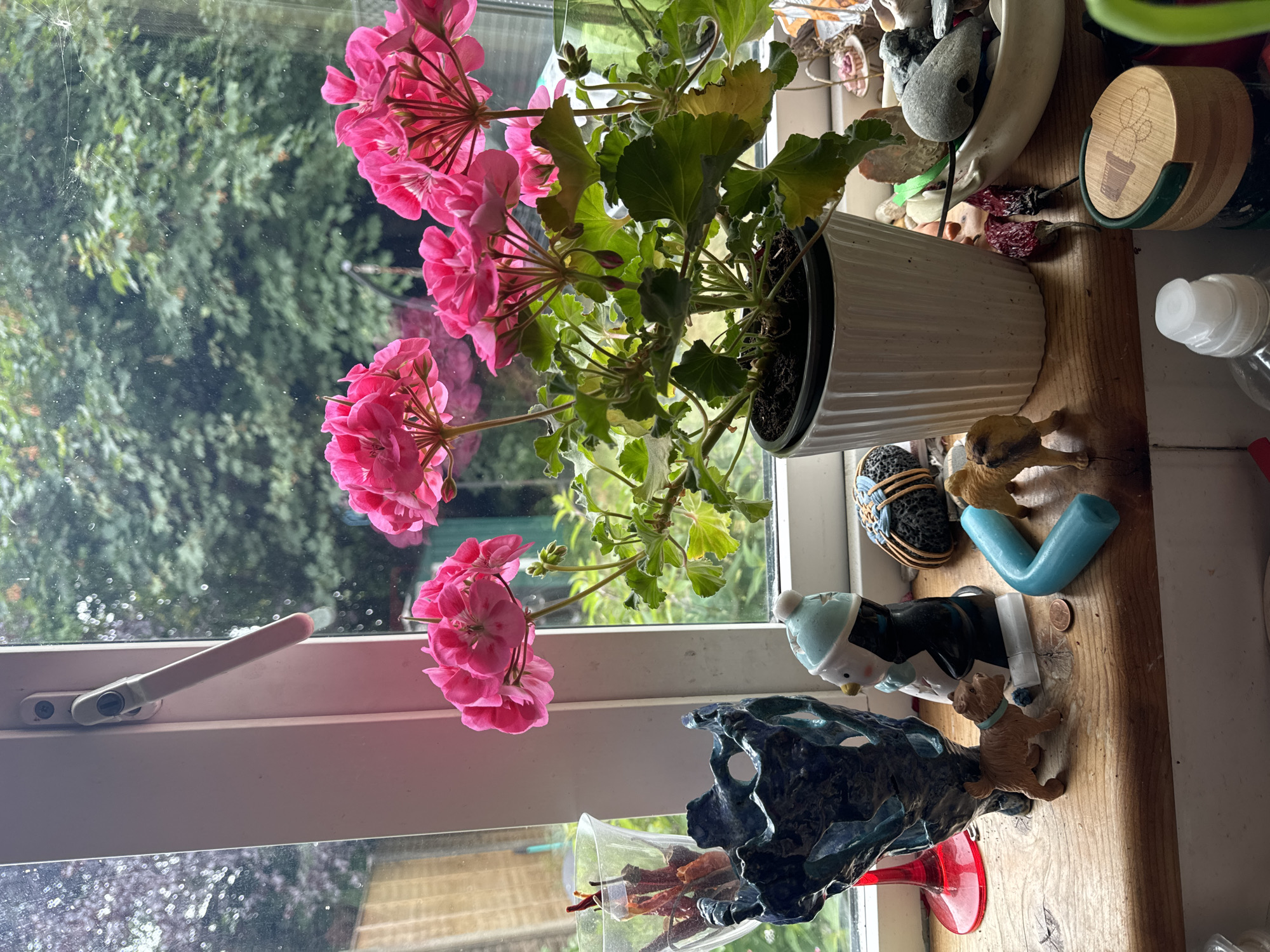 The image depicts a windowsill in Waterford, Ireland, cluttered with various decorative objects and a potted plant. In the foreground, a windowsill displays a collection of items including a dark, irregularly shaped vase, a small figurine of a penguin wearing a blue hat, and two miniature dog figurines. A bright blue, curved object, possibly a toy, is also visible, along with a single copper coin. To the right of the plant, a white bowl holds several grey stones.
The central focus of the image is a potted geranium plant with vibrant pink flowers and green leaves, positioned in the middle of the windowsill. Behind the plant, a window offers a view of lush green trees and foliage, suggesting an outdoor environment. The window itself has a white frame with a silver handle. The overall scene is one of a decorated windowsill, likely in a residential setting, with a view of nature outside.