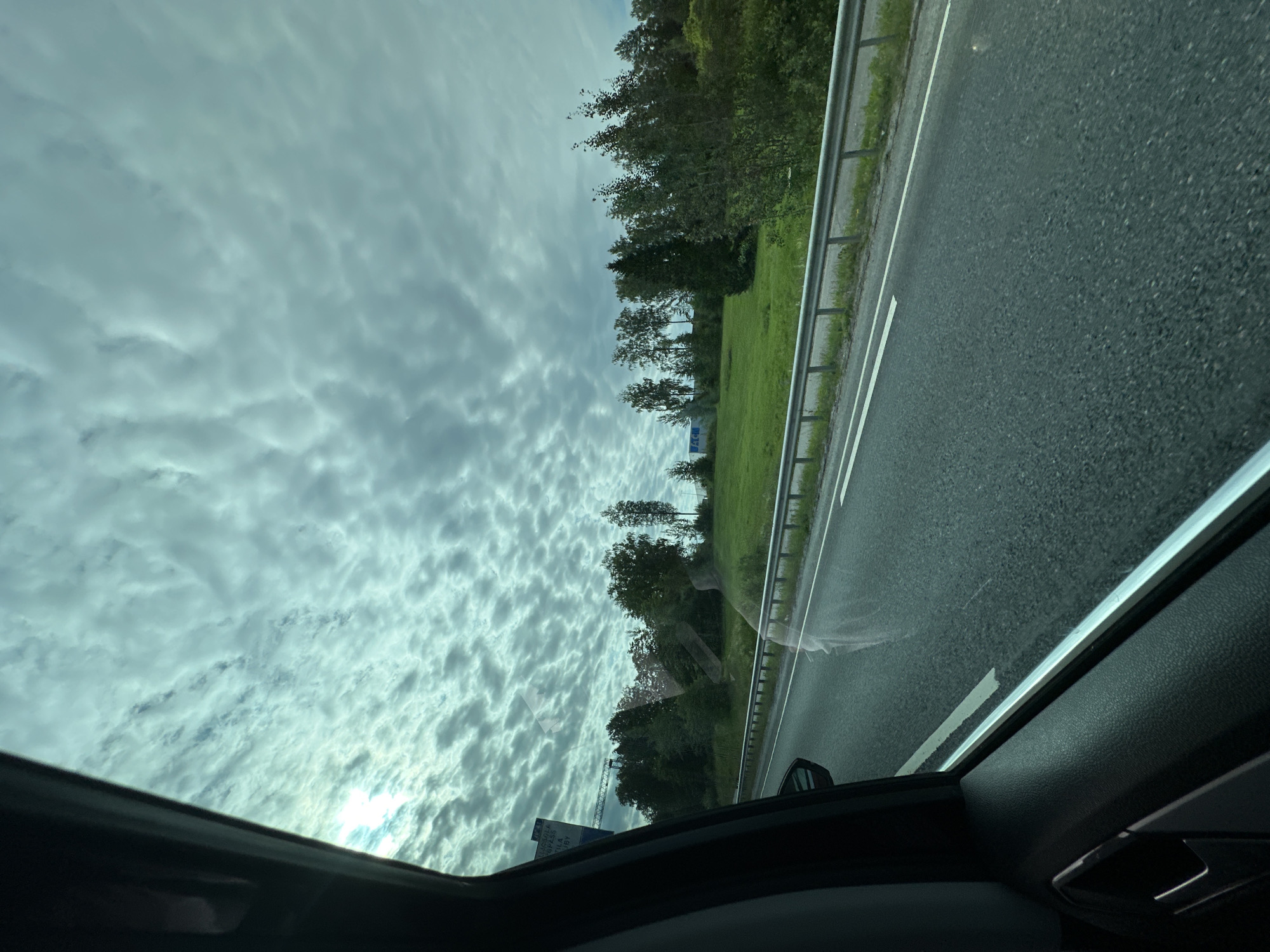 A landscape is captured through the window of a vehicle, likely in motion. The view encompasses a highway with a gray asphalt surface marked with white lines, bordered by a metal guardrail and a grassy embankment. Beyond the embankment, a field of green grass is dotted with trees. The sky is overcast with textured, dappled clouds. A dark-colored car interior, including the door handle and window frame, is visible in the foreground on the left side of the image. A reflective surface on the road appears to be a spectral anomaly.
