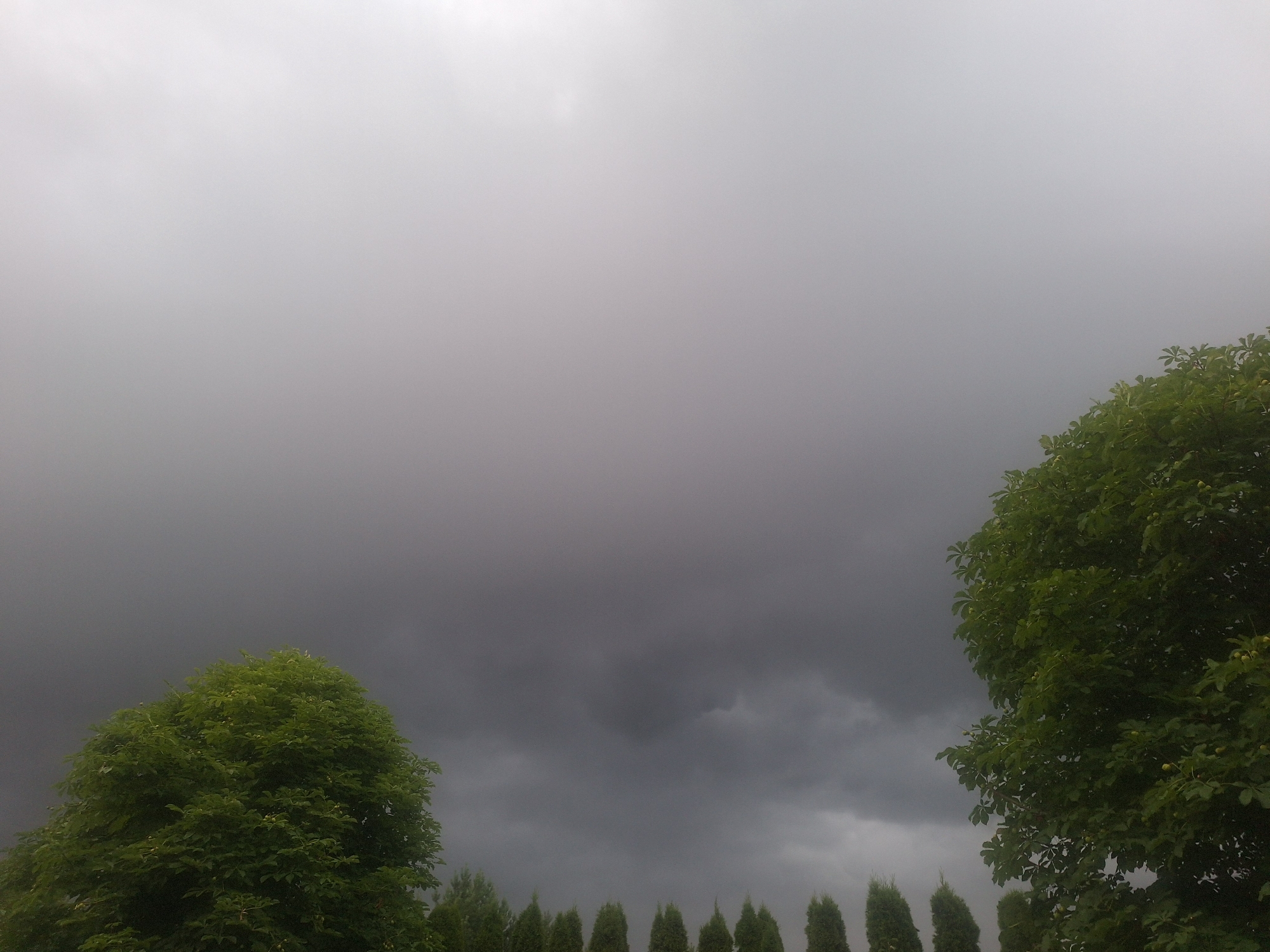 The image captures a landscape scene under a heavily overcast sky, suggesting impending rain or a recent downpour. The foreground is dominated by lush green trees. On the left, a large, full tree occupies a significant portion of the lower frame. On the right, another substantial tree with dense foliage is visible, its leaves appearing bright green against the dark sky. In the middle ground, a row of evergreen trees, possibly cypress or fir, forms a dark green line across the horizon. The sky is filled with dark grey and lighter grey clouds, creating a somber atmosphere. The scene appears to be set in an outdoor environment, possibly a park or rural area. No people or specific city landmarks are discernible. The general impression is one of nature on the verge of precipitation.