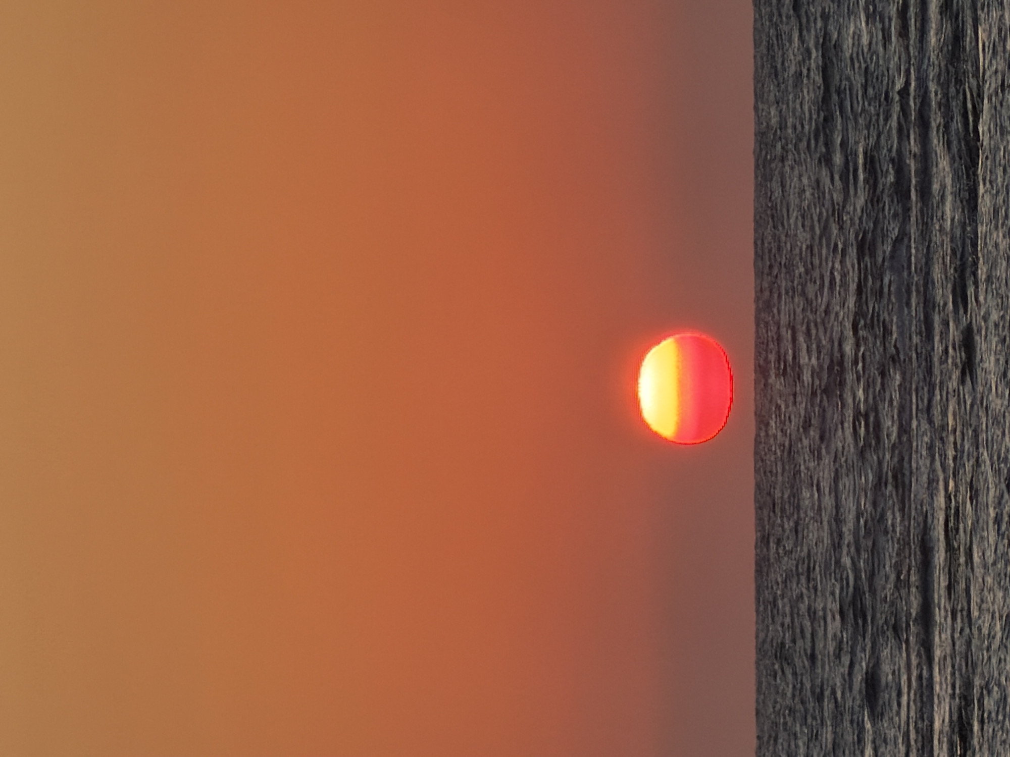 This is a vertical, medium shot photograph of a sunset over the Mediterranean Sea, taken from a beach in Tel-Aviv, Israel. The sun, a vibrant disk of red and yellow, is positioned in the center of the frame, appearing to touch the horizon line. The sky above is a gradient of warm orange and red hues, fading into a lighter shade towards the top of the image. The sea below is a deep blue-gray, with small waves creating texture and movement. The horizon line is sharp and clear, separating the sky from the water. There are no people, boats, or other objects visible in the scene. The lighting is soft and diffused, characteristic of a sunset.