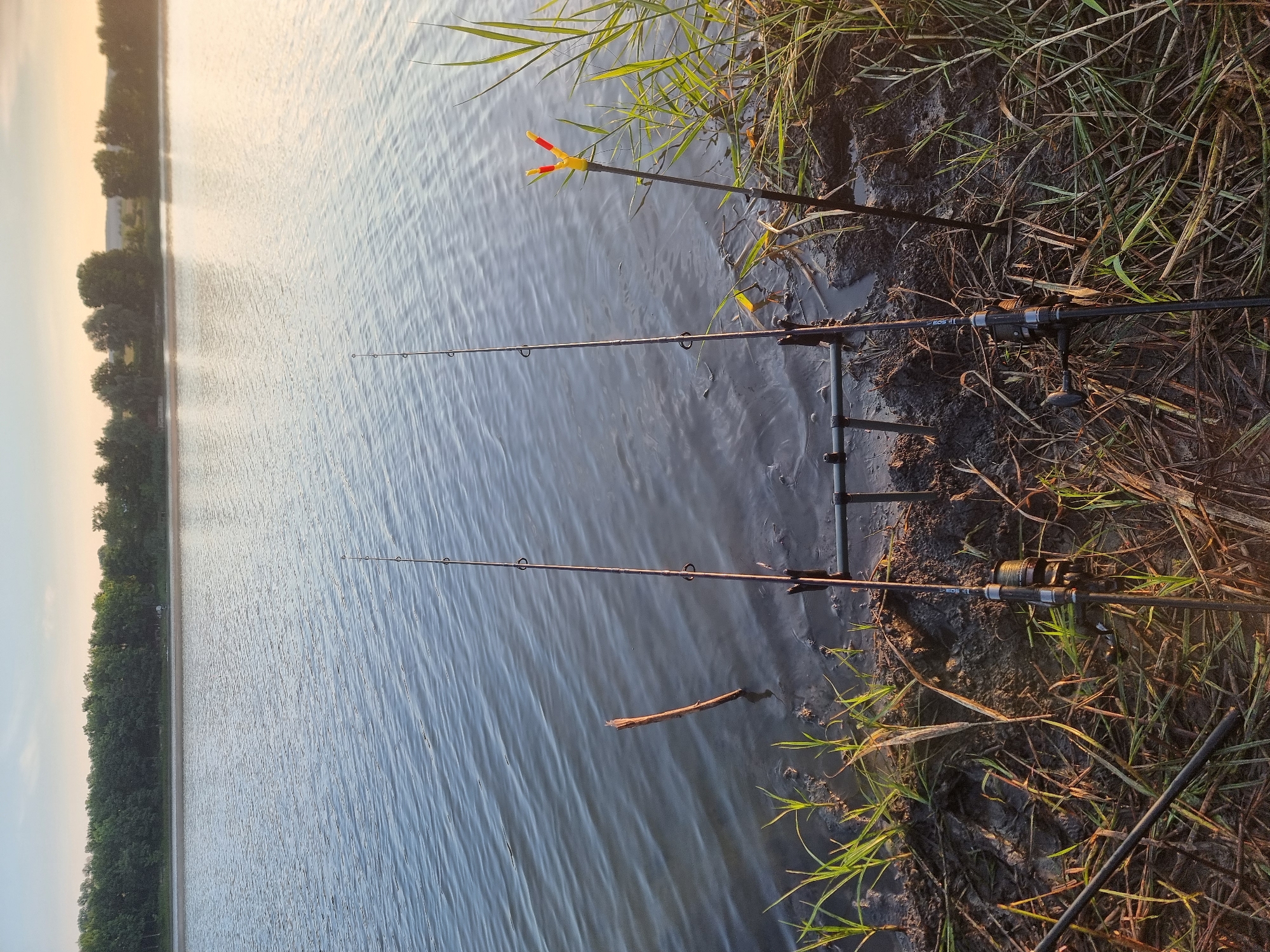 Two fishing rods are set up on the muddy bank of a calm lake. The rods are positioned in a black rod pod, with one rod on the left and another on the right. The rod on the right has a yellow and red bite indicator attached to it. Reeds and tall grass grow along the bank, and a submerged wooden stick is visible in the shallow water near the left rod. The water stretches out to a tree-lined horizon under a clear sky with a soft gradient of pale blue to pale orange, indicating either sunrise or sunset. The scene is located in Văsieni, Moldova.