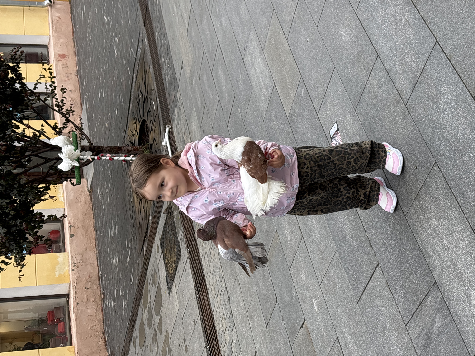 A young girl, with brown hair and a pink jacket adorned with a floral pattern, is holding two pigeons. One pigeon, predominantly brown with grey markings, is held in her left hand. In her right hand, she holds another pigeon, which is white with brown patches. The girl is looking to her left with a curious expression. She is wearing dark, leopard-print pants and white sneakers with pink accents.
The scene appears to be outdoors, on a paved walkway with large, grey, rectangular tiles. A dark metal grate runs along the edge of the walkway. To the left of the girl, there is a building with a light yellow facade and windows. Dark green foliage, part of a tree or bush, is visible in the upper left corner, with some white decorations on its branches.
The lighting suggests it could be daytime, possibly overcast given the general lack of harsh shadows. The overall setting hints at a public space, perhaps a park, square, or street in an urban environment. There are no discernible signs with visible text in the image. The activity captured is the girl interacting with the pigeons, suggesting a moment of curiosity and gentle engagement with animals.