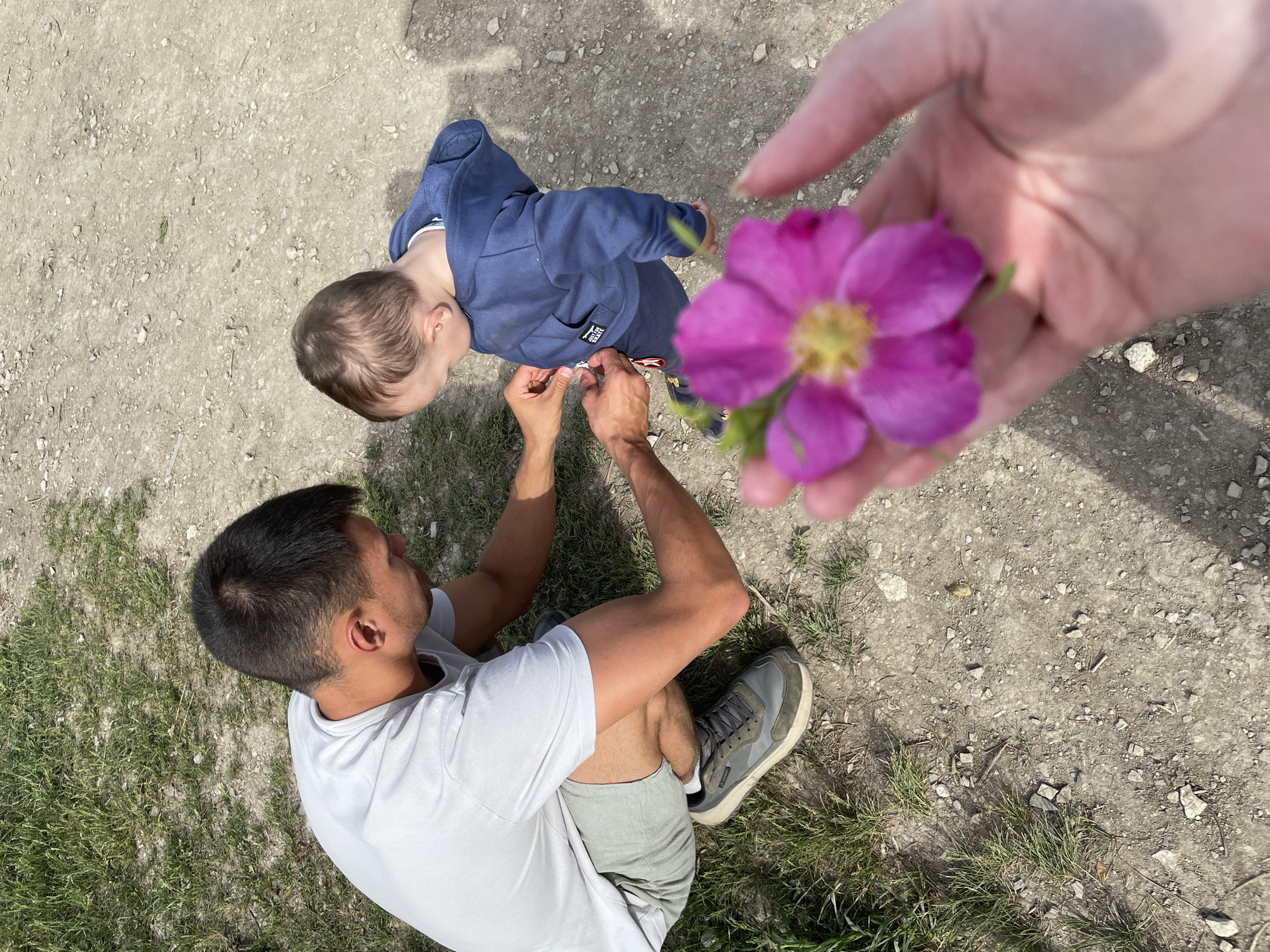 This high-angle photograph captures an outdoor scene featuring an adult, a young child, and a hand holding a flower. In the foreground, positioned to the right, a hand is seen holding a vibrant pink flower with a prominent yellow center, which is out of focus due to its closeness to the camera.
In the mid-ground, a man with short dark hair is seated or kneeling on the dirt ground, wearing a light grey t-shirt, light grey shorts, and olive green sneakers. He is facing a small child who is standing directly in front of him. The child, likely a toddler, is dressed in a dark blue hooded top with dark blue trousers. A small square patch on the child's top clearly displays the word "SKATE". The man's hands are gently interacting with the child's hands, suggesting an act of assistance or shared focus on an object between them. The child is looking downwards at their hands.
The ground beneath them is a mix of light brown dirt and gravel, with patches of green grass visible, particularly in the lower-left corner. Bright sunlight is evident, casting distinct shadows on the ground, indicating a clear, sunny day, likely midday or early afternoon. The scene conveys a gentle, caring interaction in an informal outdoor setting, identified as Пятый километр, Russia.