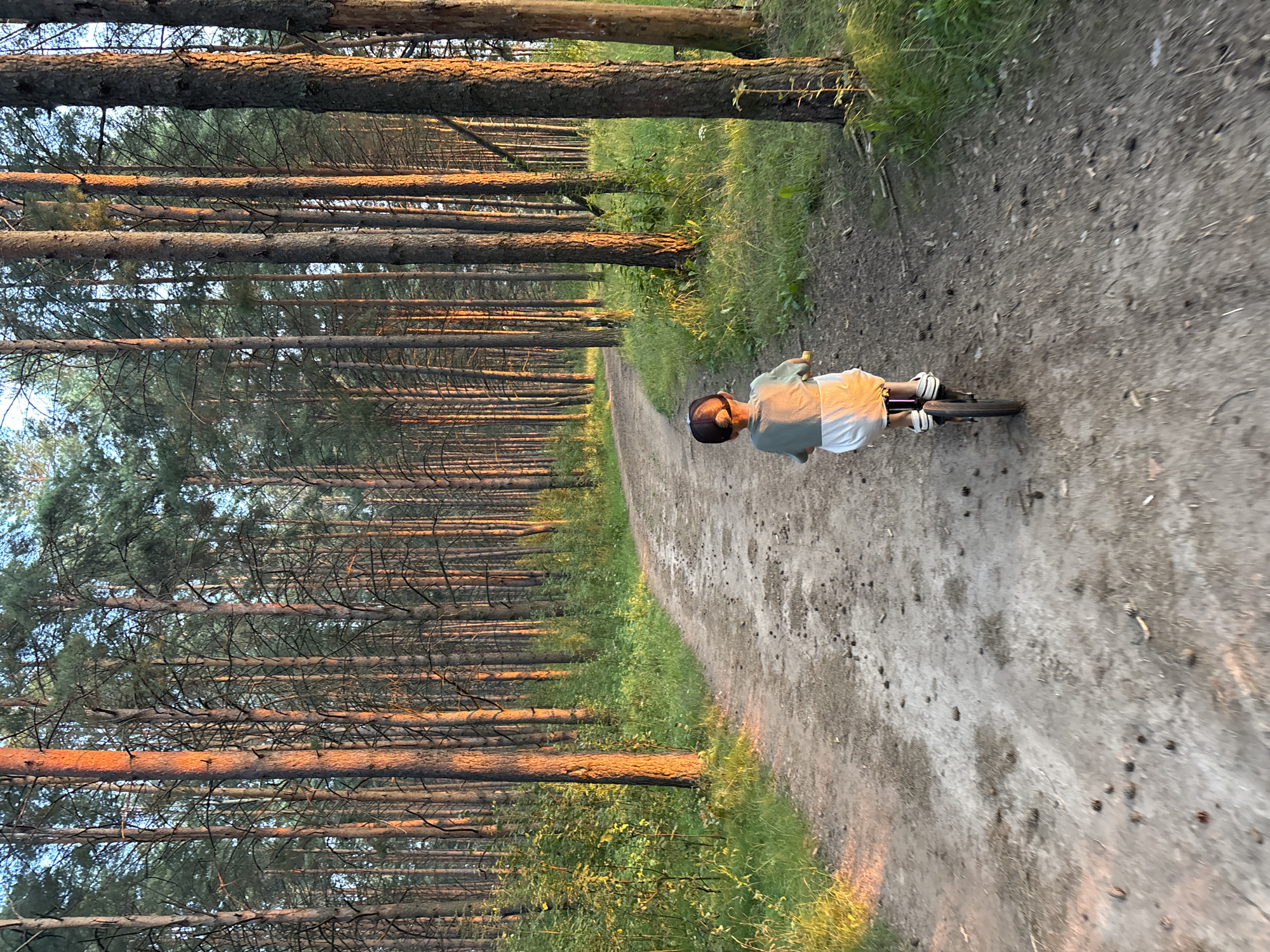 An outdoor, eye-level, medium shot captures a young child riding a balance bike on a dirt path through a pine forest. The child, facing away from the camera, wears a green t-shirt and white shorts, and a baseball cap. The sunlit trees create long shadows, casting a warm glow on the scene. The path is dotted with pinecones and twigs. The forest floor is covered in dry leaves and grass. The sky is a clear blue with a hint of sunset. The image appears to have been taken in a forest area located in the city of Chaikovsky, Russia.