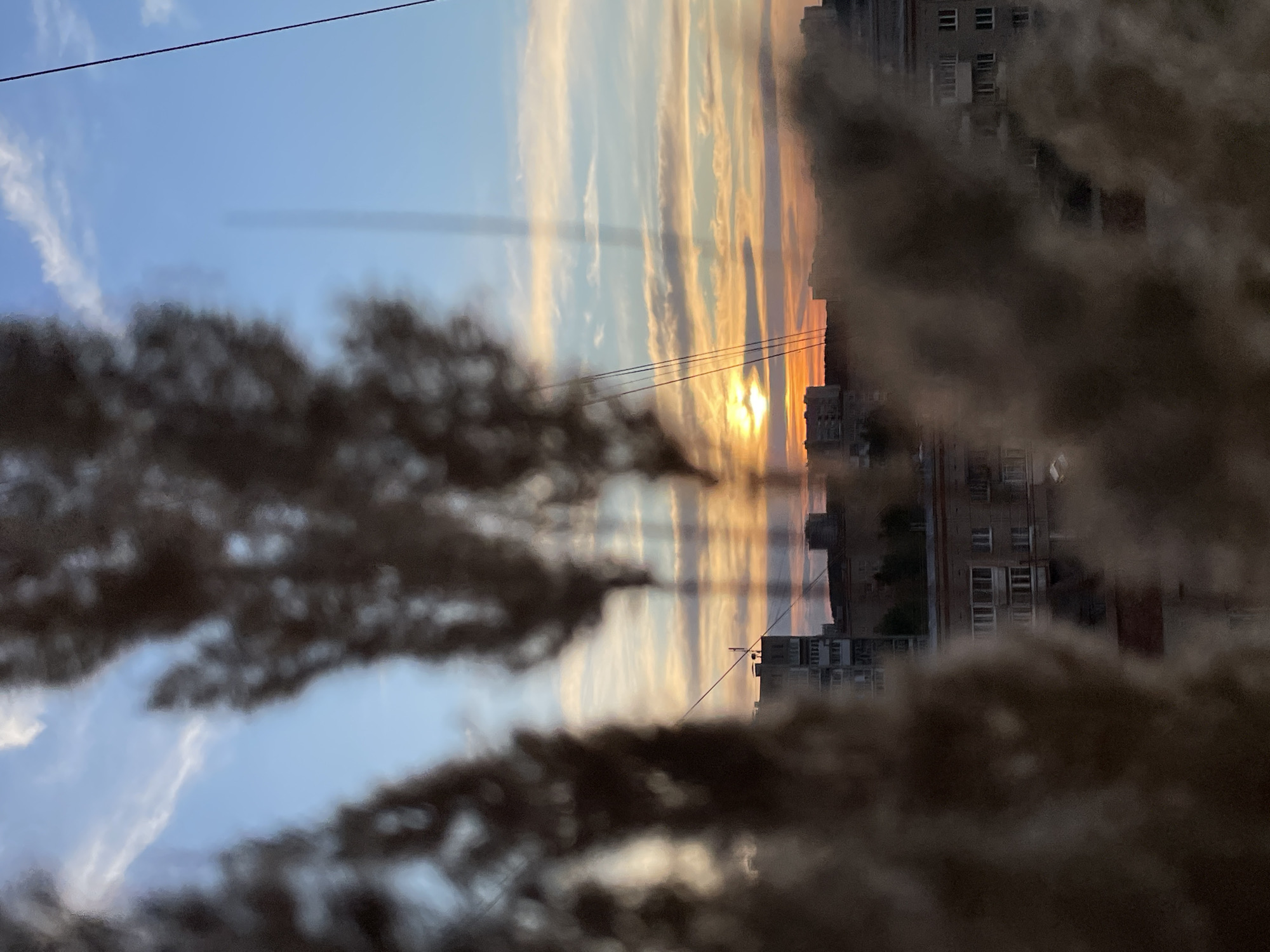 The image is a vertical composition of a sunset scene in what appears to be the city of Izhevsk, Russia, given the architecture of the buildings visible. The sunset creates a vibrant display of orange and yellow hues in the sky, partially obscured by light, streaky clouds. Several electrical wires intersect the sky. A few buildings are visible in the bottom half of the photo, silhouetted against the sunset and positioned slightly to the right. The foreground is dominated by out-of-focus, fluffy plant material that partially obscures the view of the sky and city, creating a framed effect. The scene lacks any clear indication of people or immediate action. The primary objects include the sunset, buildings, electrical wires, and the foreground plant material.