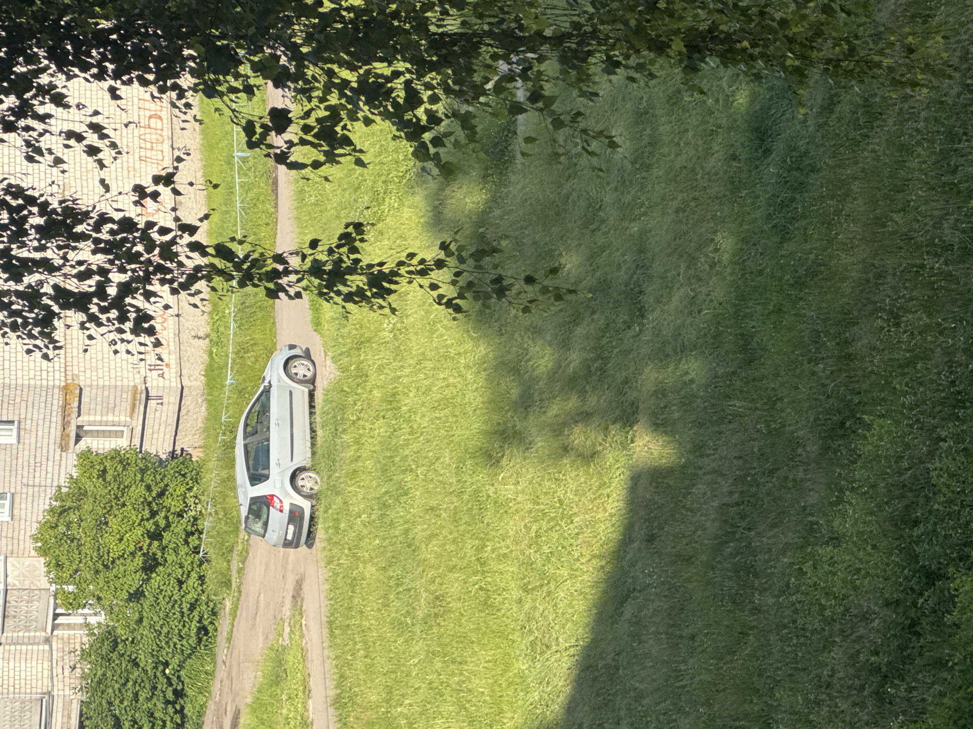 A light-colored hatchback car is parked on a dirt road in front of a multi-story brick building. The building has windows and some graffiti on its facade. Lush green grass covers the foreground, with dappled sunlight and shadows cast across it. Trees with green leaves are visible in the middle ground and foreground, some hanging down, obscuring parts of the scene. The scene appears to be in a residential area, possibly in the Яромінскі сельскі Савет, Belarus, given the architectural style and vegetation.