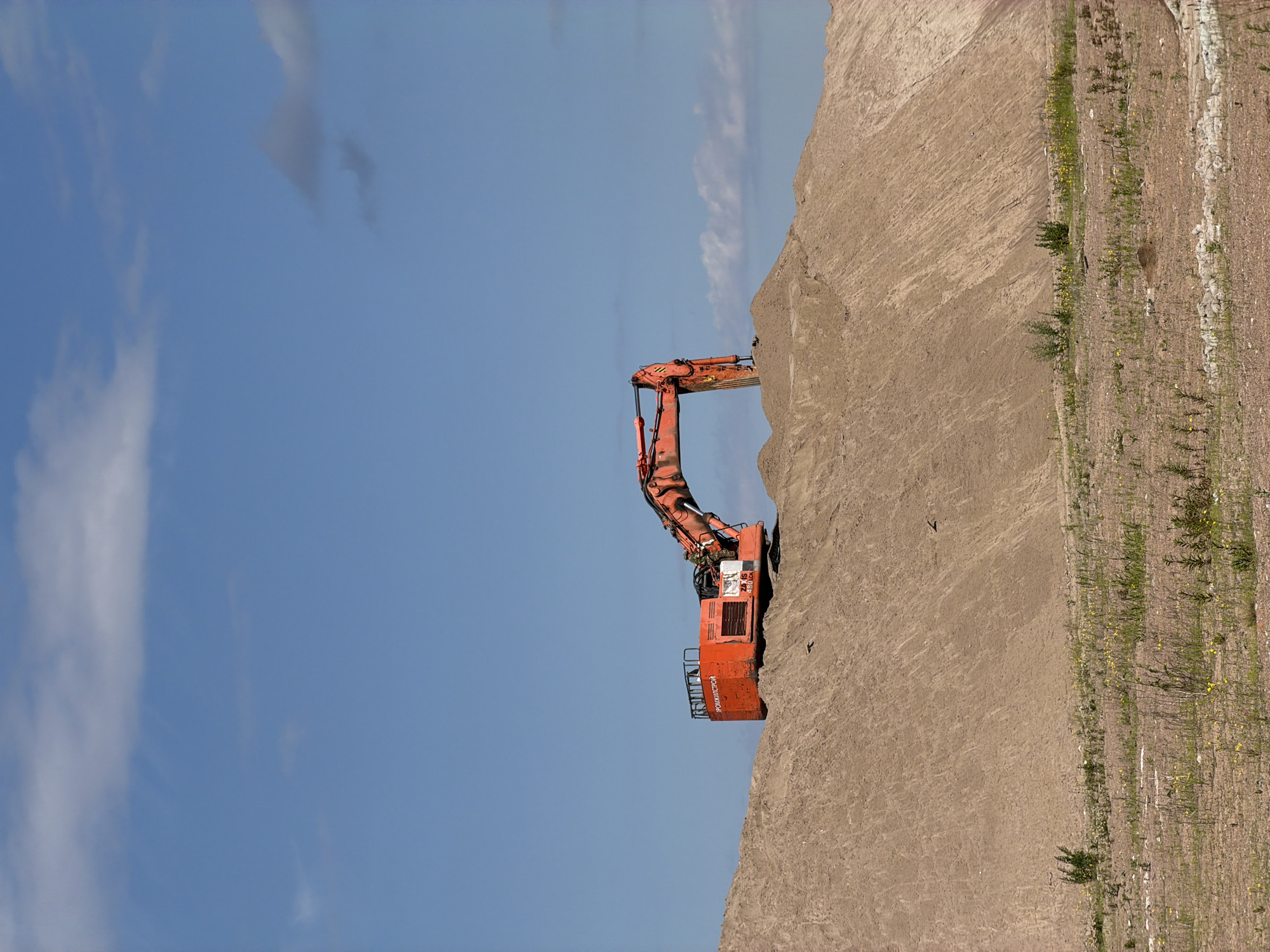 A large, orange excavator is positioned on top of a sand dune. The excavator has the words "ПРОМЖИЛСТРОЙ" printed on its side. The sand dune appears to be part of a construction or demolition site. The background consists of a clear blue sky with a few scattered white clouds. The ground in the foreground is a mix of dirt, gravel, and sparse vegetation, including some small yellow wildflowers. The scene appears to be an outdoor industrial area. The provided text suggests this location may be in Saint Petersburg, Russia, though this cannot be definitively determined from the image alone.