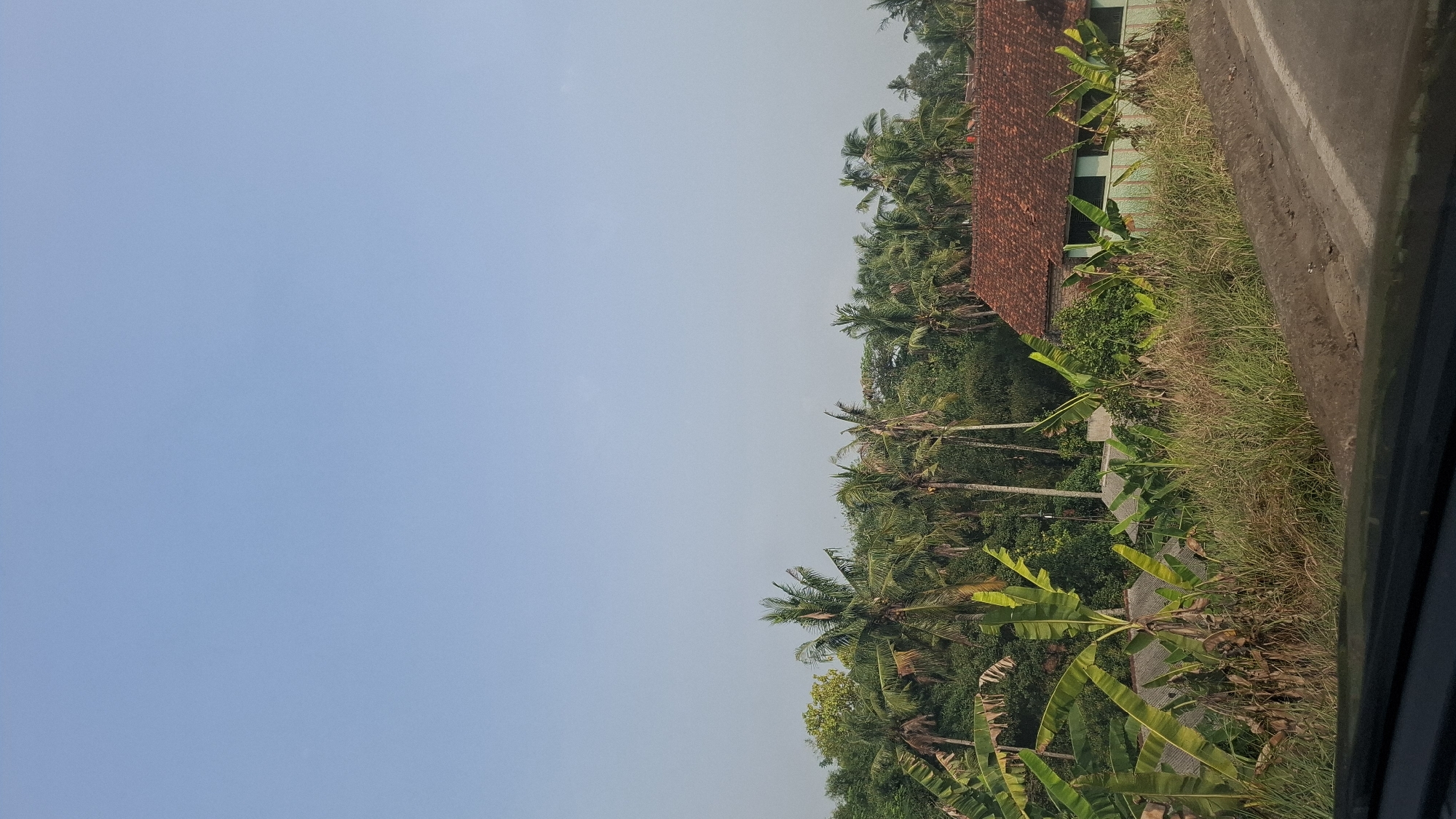 This is a vertical, medium-angle, eye-level shot of a rural landscape in Sirnagalih, Indonesia, under a clear blue sky. In the foreground, a dirt road curves into the frame from the right. A dark, blurry object, possibly the dashboard of a vehicle, occupies the bottom of the image. Beyond the road, a dense green jungle is visible, dominated by tall palm trees and banana plants with large, broad leaves. A light blue building with a red-tiled roof stands out amidst the vegetation, partially obscured by trees and foliage. The building appears to be a residential structure or a small establishment. The scene is bathed in natural light, suggesting it was taken during the day, likely in the morning or late afternoon given the soft lighting. The overall impression is one of tranquility and a typical rural Indonesian environment.