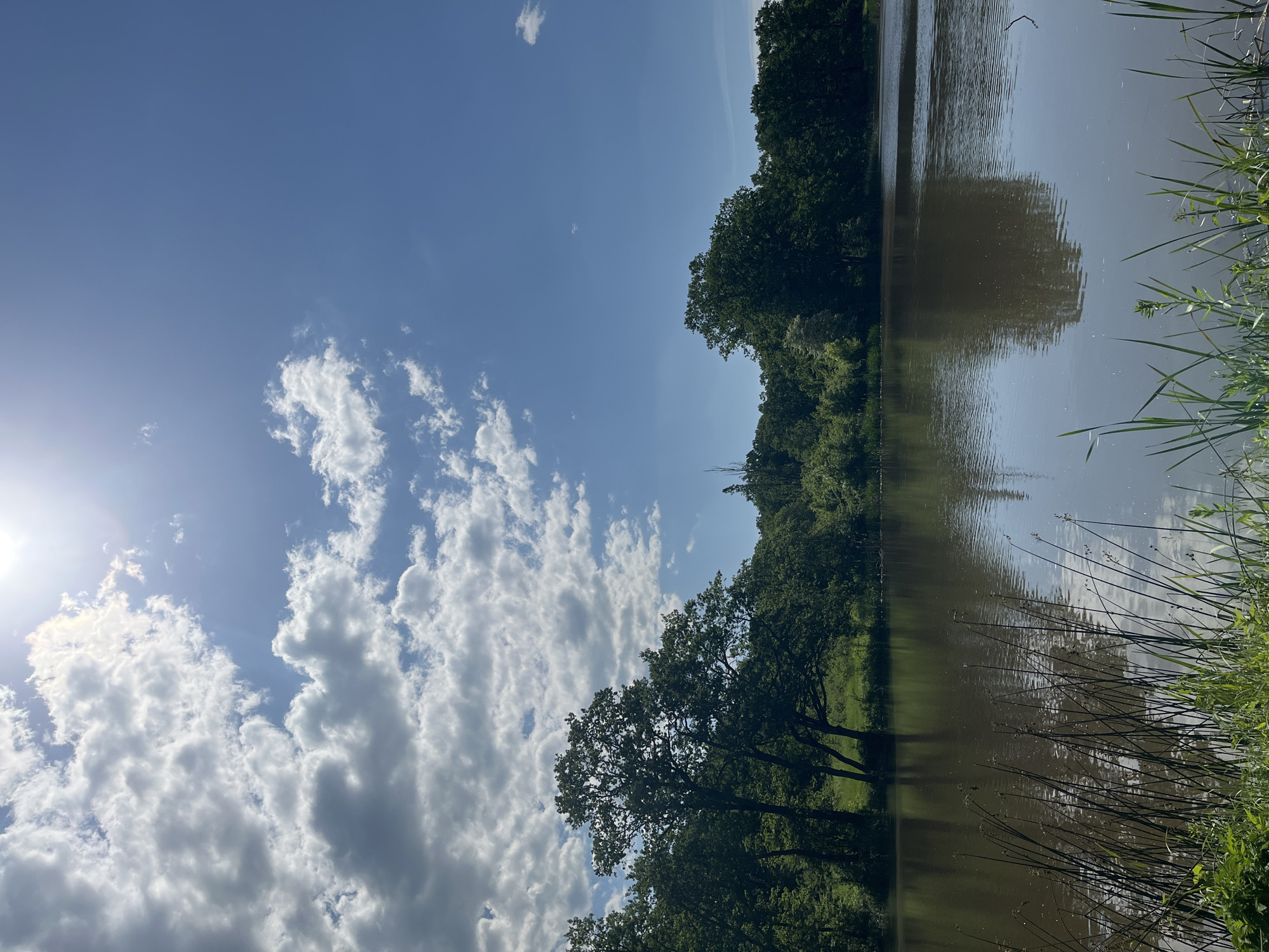 The image depicts a body of water, likely a lake or pond, with a reflective surface mirroring the sky and surrounding trees. The sky is partly cloudy with patches of blue. Lush green trees line the water's edge. Tall grasses and reeds grow along the bank in the foreground. The location is likely Saratovskaya, Russia, but this cannot be definitively confirmed from the image alone. The scene appears tranquil, suggesting a natural or park setting. There are no visible people or signs of active interaction. The image focuses on the natural landscape.
