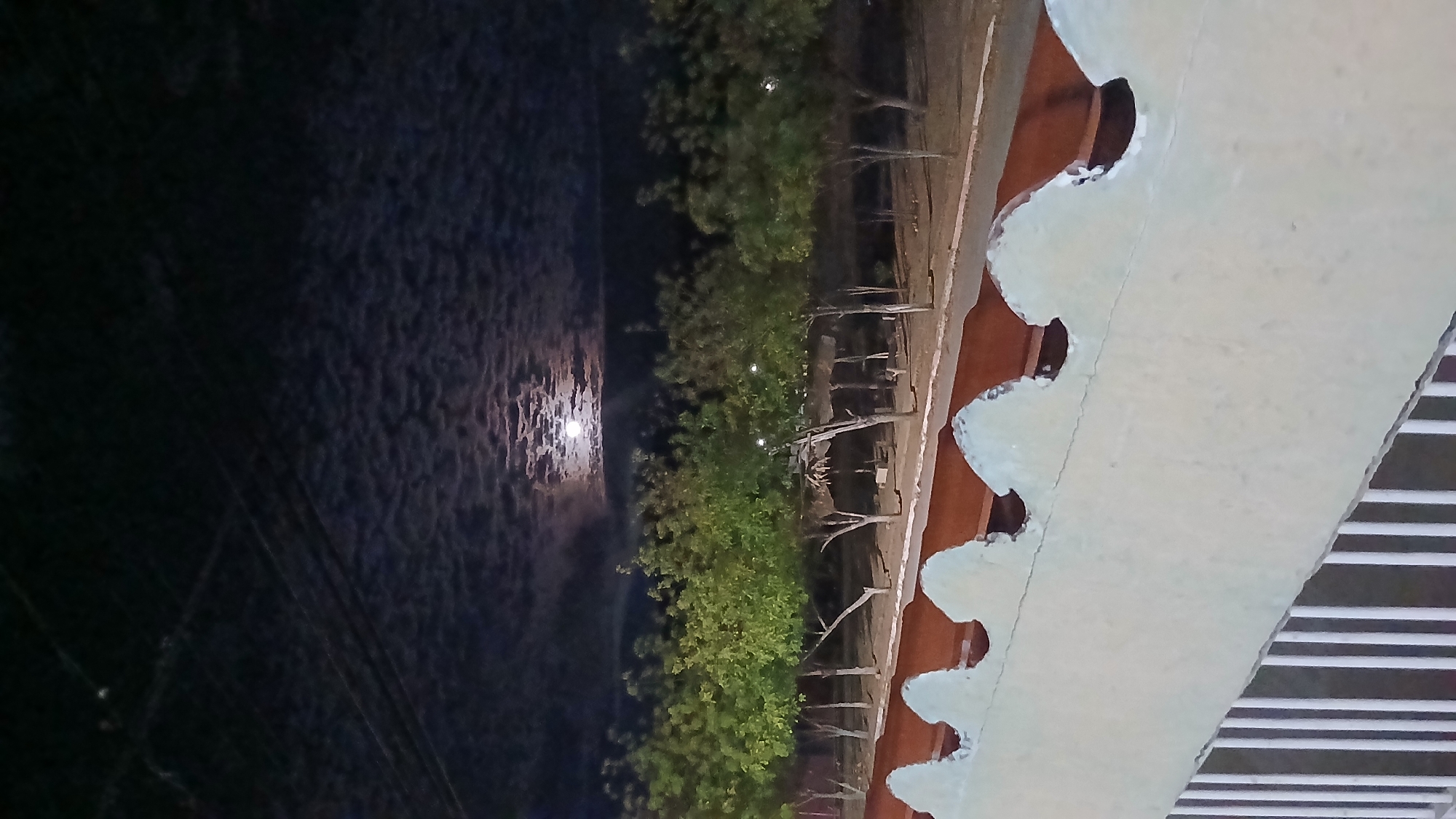 The image, rotated 90 degrees counter-clockwise, depicts a night scene in Juan Griego, Venezuela. The left side of the image shows a body of water reflecting the moon, surrounded by a cloudy sky. Adjacent to the water is a row of trees. A dirt path runs parallel to the trees. A structure, presumably a building, occupies the right side of the frame. The architecture of the structure has decorative trim. A striped awning is visible near the bottom right corner of the image.