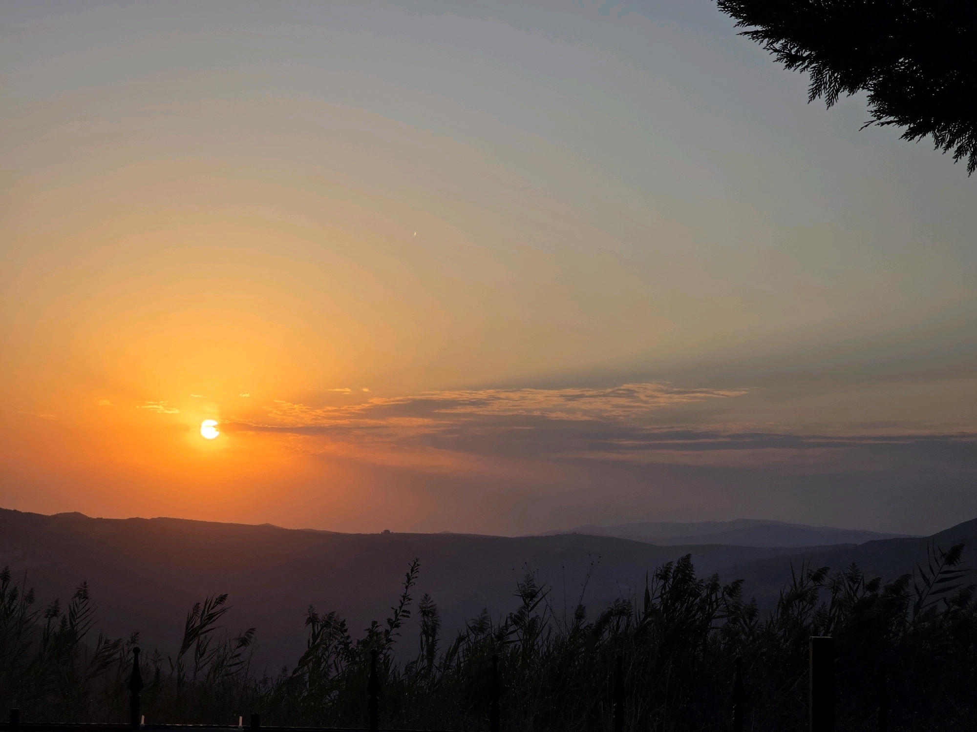 The image shows a landscape at sunset. The sun is a bright orange orb partially obscured by a thin cloud bank, casting a warm glow across the sky. The sky transitions from a vibrant orange near the horizon to a pale blue at the top. In the foreground, silhouettes of tall grasses and a dark tree branch frame the scene. In the middle ground, rolling hills are visible, fading into a hazy purple distance. The scene appears to be set in a natural, outdoor environment, possibly a rural or mountainous area.