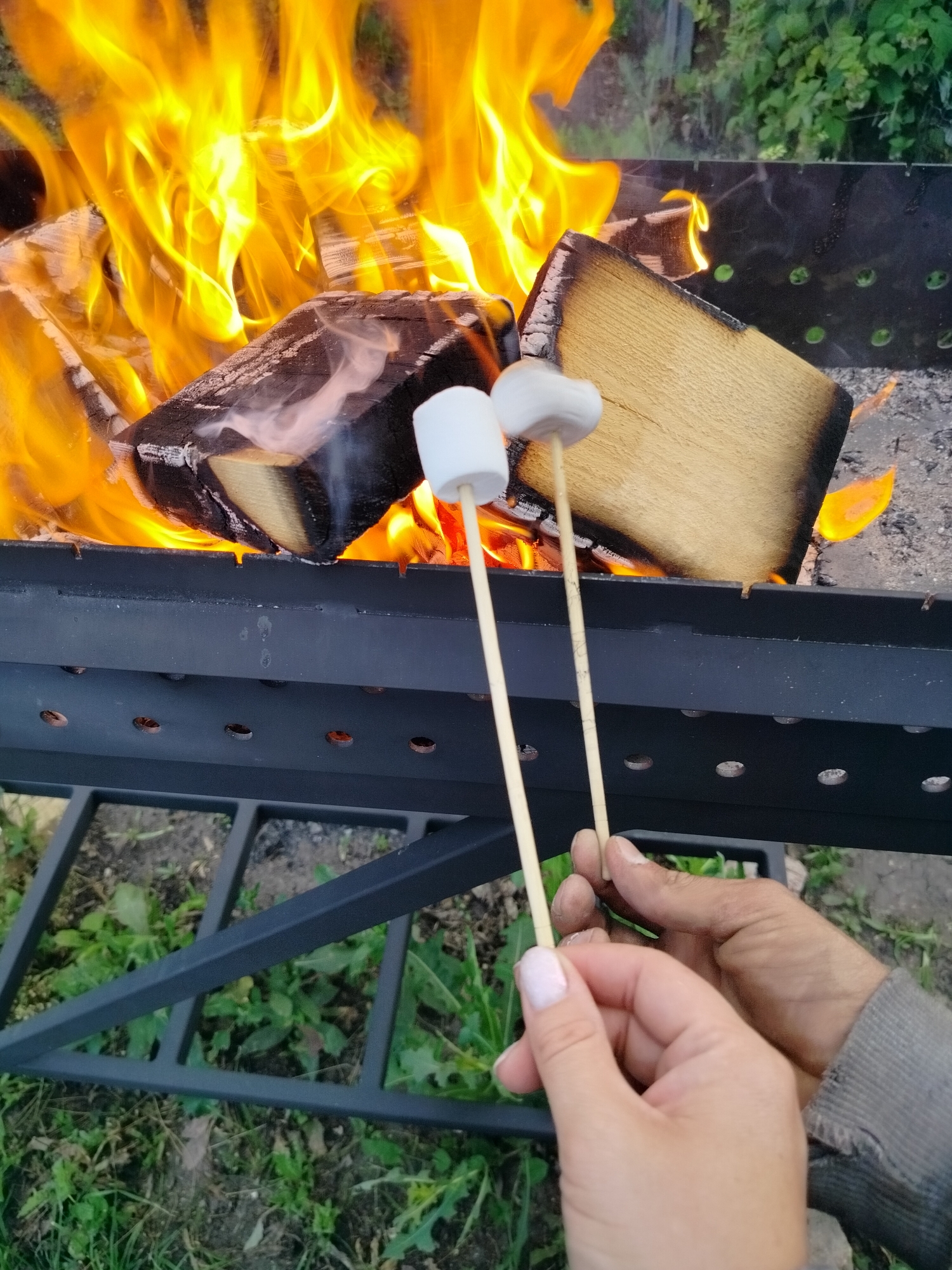 Two people are roasting marshmallows over a fire in a black metal grill. The fire is vibrant and hot, with large flames licking up around several pieces of wood. The marshmallows are on wooden skewers and held close to the heat. One person's hands, with light pink nail polish, hold one skewer, while another hand, with a grey sleeve, holds the second. The grill is on a metal stand, and the ground around it is covered in green grass and some dirt. The scene appears to be outdoors, likely in a rural or backyard setting. The lighting suggests it is daytime, possibly late afternoon or early evening. The overall mood is one of casual enjoyment and outdoor recreation. There is no visible text in the image. The location context is Вазерки, Russia.