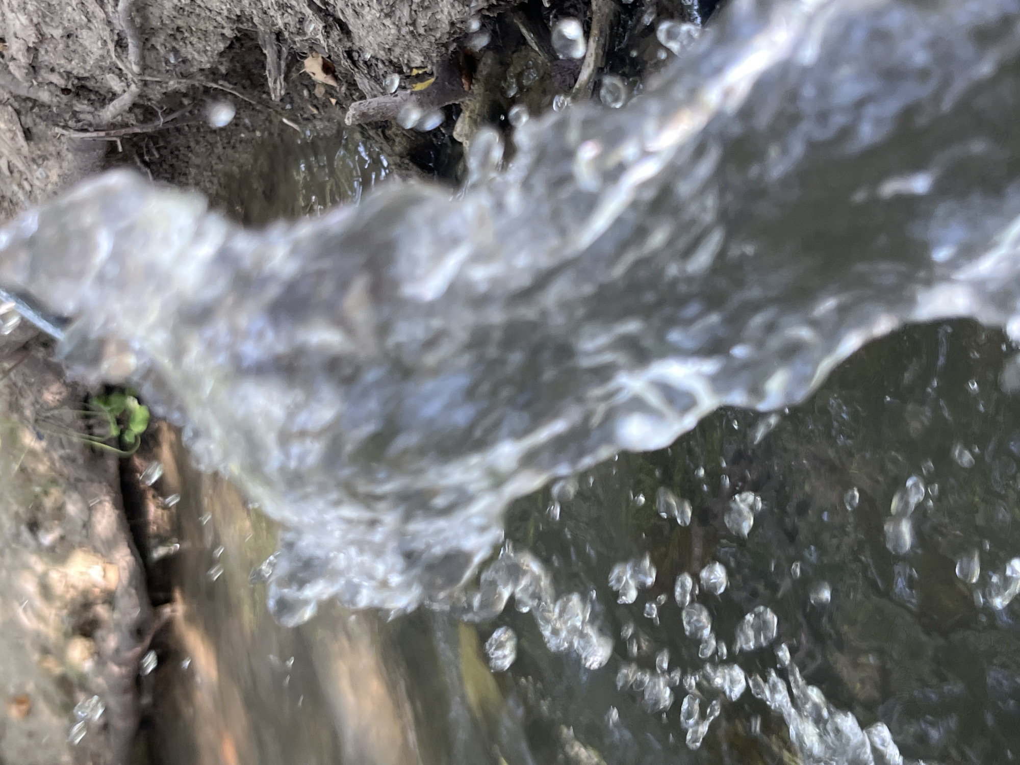 A close-up, macro shot captures a splash of water in motion against a blurred natural backdrop. The foreground is dominated by a large, translucent stream of water, its surface textured with ripples and spray. Tiny water droplets are suspended in the air and dot the surface of the water below, creating a dynamic and somewhat abstract composition. The background hints at a shallow stream or body of water flowing alongside a dirt bank, with dry leaves and twigs visible. The overall lighting suggests an outdoor, daytime setting. The location is not specified in the image.