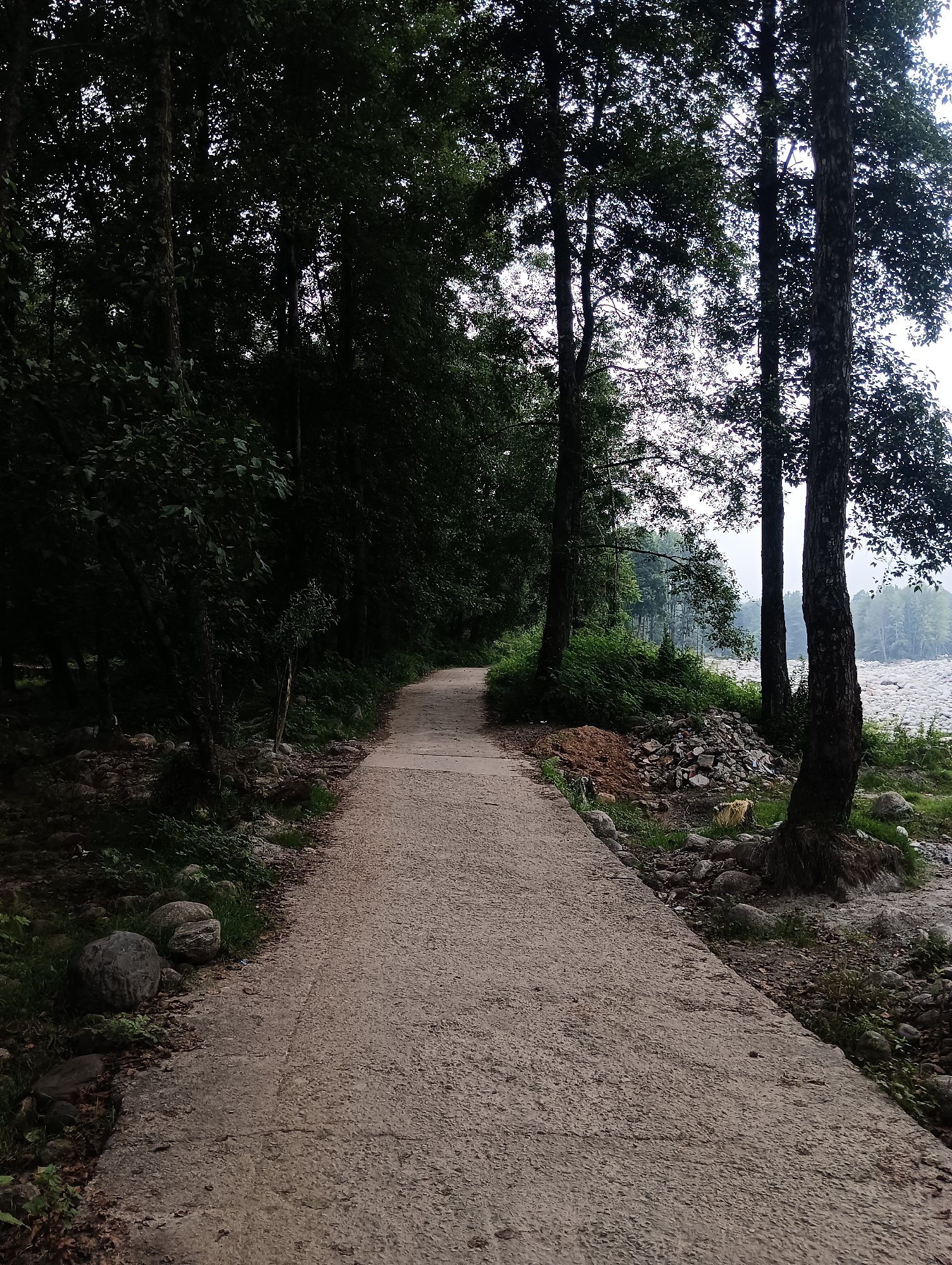 The image depicts a paved pathway winding through a dense forest. The pathway is made of concrete and appears to be well-maintained. On the left side of the pathway, tall trees with dark green foliage create a shaded canopy, while on the right, the path opens up to a rocky riverbank and a body of water. The riverbed is covered with smooth, light-colored stones. In the background, more trees are visible on the opposite bank of the river, shrouded in a light mist. The sky above is overcast, contributing to the muted lighting conditions. The scene is located in the city of Goshal, India, as indicated by the presence of a river and the surrounding natural landscape.