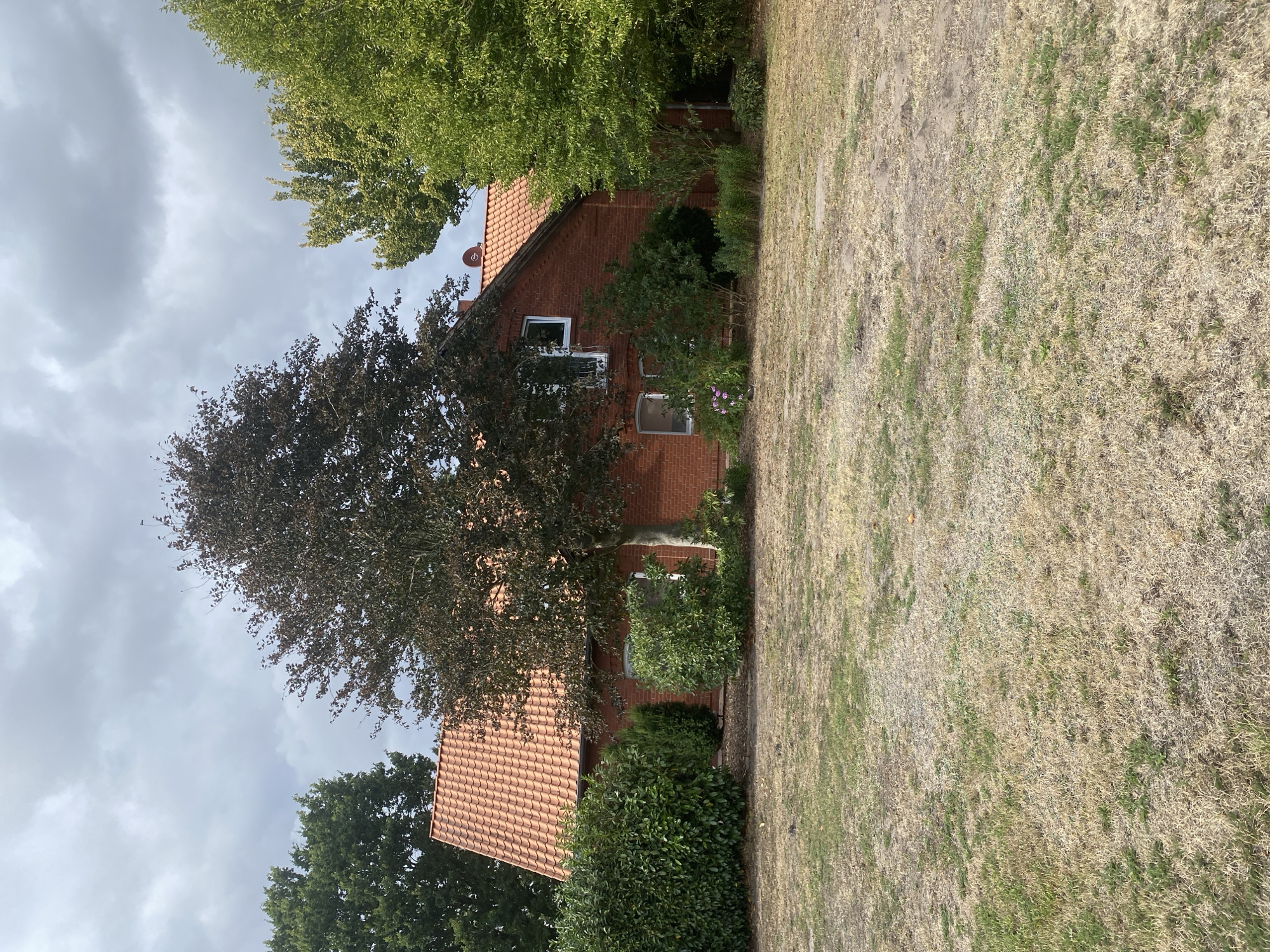 This is a medium shot, taken outdoors during the daytime, of a red brick house with an orange tiled roof. The house is surrounded by dense green bushes on the left and various trees on the right and behind. A large, dark-leaved tree is situated in front of the house, partially obscuring its facade. The ground in front of the house is covered in dry, light-brown grass with patches of green. The sky is overcast with grey clouds. The image appears to be taken in the city of Schwarme, Germany, based on the metadata. No people are visible in the image.