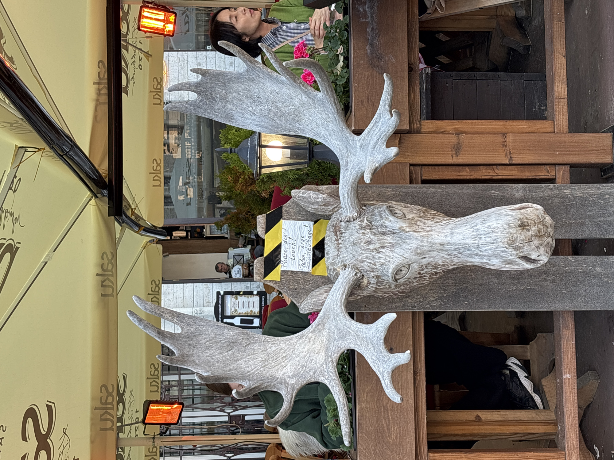 This image depicts an outdoor dining area of Salas Baar in Tallinn, Estonia. A large, weathered wooden carving of a moose head with prominent antlers is centrally positioned in the foreground, serving as a decorative element. A small yellow and black striped sign is attached to its neck, reading "Please, don't touch!" and "Palun, ärge katsuge!" in English and Estonian, respectively.
Behind the moose, two individuals are seated at separate dark wooden tables. To the left, a person wearing a dark green top is partially visible, obscured by the moose's antlers. To the right, an East Asian woman with dark, shoulder-length hair is seated, wearing a light green cardigan over a blue and white checkered shirt, with her hands clasped on the table. A wooden planter box containing pink geraniums is situated on the table in front of her.
The entire area is covered by a large yellow fabric canopy, displaying the repeated word "SaLaS" in brown lettering, some instances appearing mirrored. Two bright red-orange outdoor heaters are suspended from the canopy structure, one visible on each side of the frame. A black, traditional-style street lamp with a glowing bulb is positioned behind the moose head, between the two seated individuals. In the background, through glass windows, another person, an older man, is visible seated further back. A menu board, partially showing "ASTRO VINOTHÈQUE" with a wine bottle illustration, is also visible in the mid-ground. The ground appears to be a paved surface.