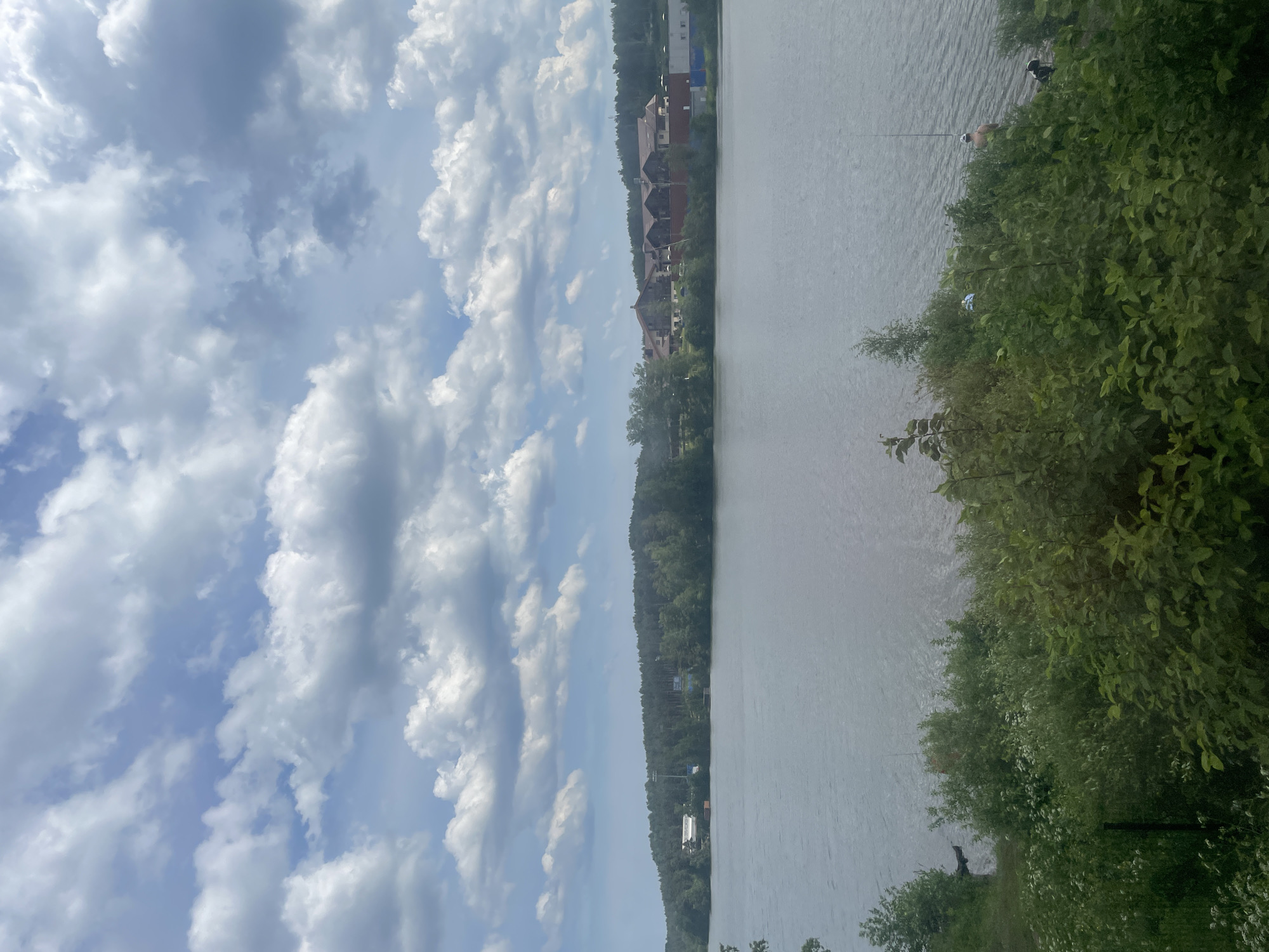 The image depicts a wide view of a body of water in Osel'ki, Russia, under a partly cloudy sky. The sky, occupying the upper third of the frame, features numerous white and grey cumulus clouds interspersed with patches of light blue sky.
The middle ground is dominated by the calm, grey-blue surface of the water, showing subtle ripples. The far shoreline, visible across the water, is heavily forested with dense green trees covering a gentle incline. Within the treeline and along the shore, several structures are visible. On the left, a light-colored building with a dark roof and a tall floodlight pole are partially obscured by trees. Towards the center-right of the far shore, a large, multi-story building with reddish-brown gabled roofs and darker walls, possibly a resort or hotel, stands prominently. To its immediate right, a smaller, lighter-colored building with a blue base is visible.
The foreground consists of a densely vegetated bank sloping towards the water, filled with various green bushes, small trees, and some white flowering plants. On the right side of the foreground, near the water's edge, a man with a bare torso and a white cap is standing in the shallow water, actively engaged in fishing with a visible rod extending upwards. Next to him, a dark-colored dog with white markings is also standing in the water. Further to the left and partially obscured by foliage, another individual wearing a light-colored top is present near the shoreline.