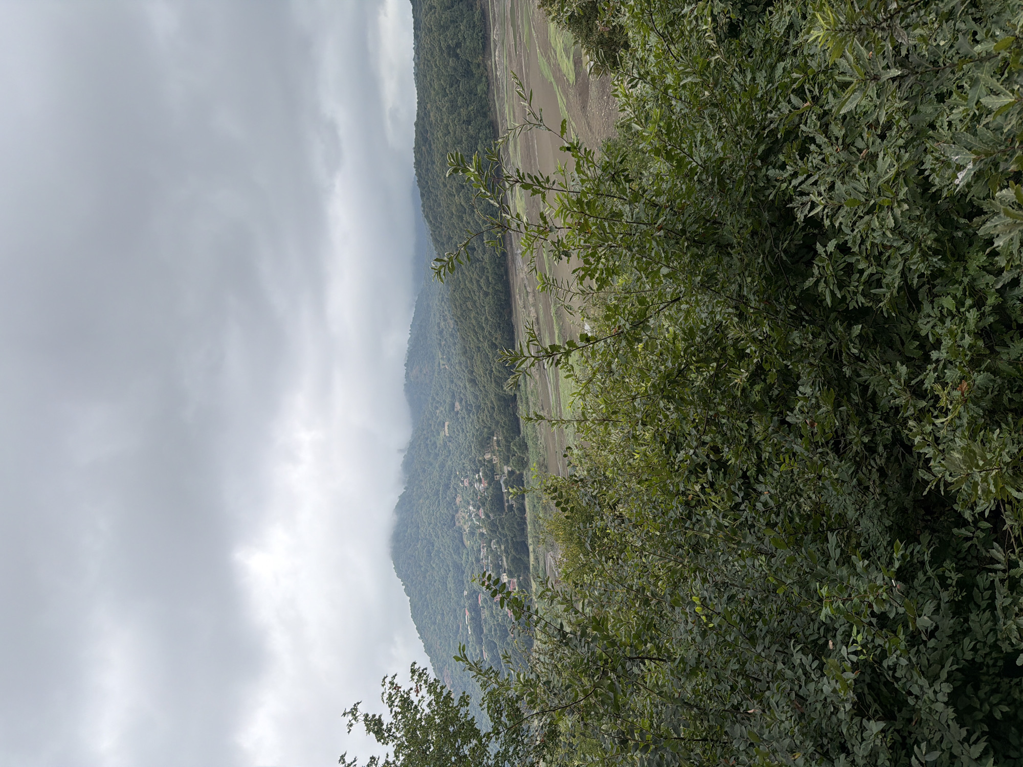 The image depicts a panoramic view of a valley in Qəriblər, Azerbaijan, under a cloudy sky. In the foreground, dense green foliage of trees and bushes obscures the lower part of the scene. Beyond the vegetation, the valley floor is visible, appearing to be partially dry land with patches of green and brown, suggesting it might be a reservoir bed or agricultural fields. In the mid-ground, a hillside is covered with a dense forest. Nestled on the slope of this hill is a village, characterized by numerous small buildings with red roofs, interspersed among the trees. Further in the background, rolling hills, also covered in trees, recede into the distance, their peaks partially obscured by mist or low-lying clouds. The overall impression is a natural landscape with human settlement integrated into the environment, under a subdued, overcast sky.