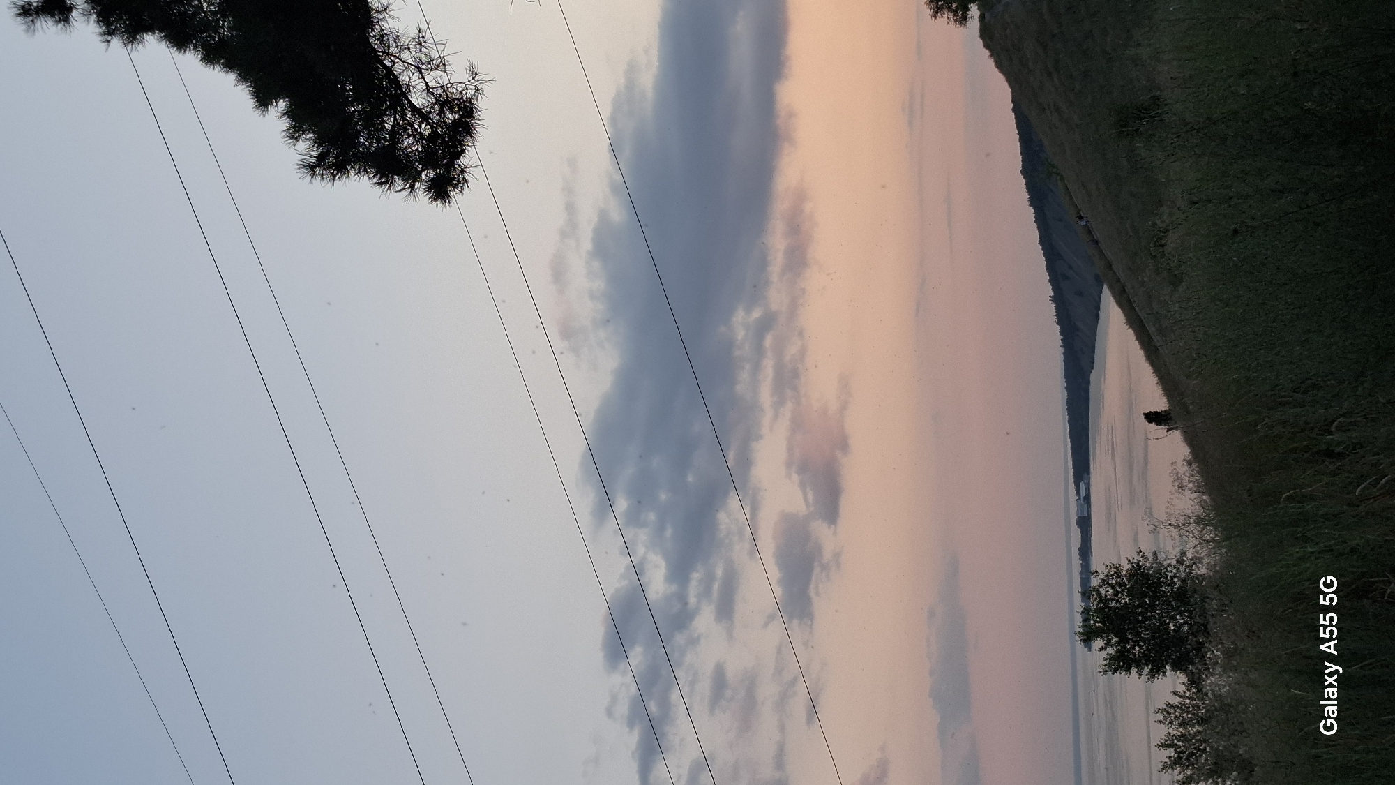 The image captures a serene natural landscape at dusk, overlooking a wide river or bay. The sky displays a gradient of soft colors, transitioning from a pale blue at the top to warm pink and orange hues near the horizon, indicative of sunset. Several power lines stretch horizontally across the upper portion of the frame, contrasting with the natural elements. A silhouette of a pine tree branch extends into the top right corner. The middle ground features a sloping hillside covered in tall, dry grass and interspersed with some greenery. The river is calm and reflects the soft light of the sky. In the distance, across the water, a landmass with trees and structures is visible. The foreground is dominated by lush green grass and some scattered foliage. A small, dark figure, possibly a person or an animal, is visible standing on the grassy slope. The lower left corner of the image contains a watermark that reads "Galaxy A55 5G". This scenery is consistent with the Tolyatti embankment area along the Volga River, particularly the view from the Zhiguli Mountains foothills overlooking the Kuybyshev Reservoir.