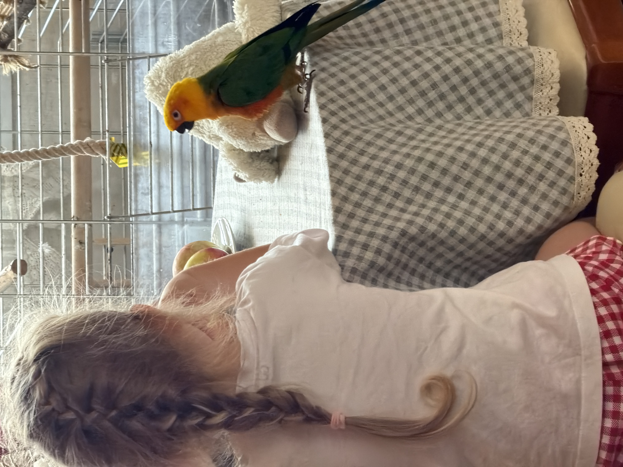 A child with long blonde hair braided and tied with a pink elastic is lying next to a bed with a gray and white checkered bedspread with lace trim. An orange, green, and black parrot is perched on a white stuffed animal on the bed near the child. A partially visible cage is located near the bed. An apple is also visible near the child. There is no information to confirm that the image was taken in Khimki, Russia.