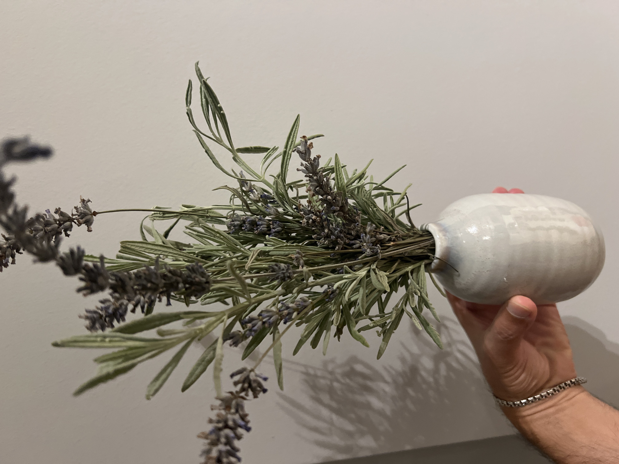A hand with a silver bracelet is holding a small, off-white ceramic vase filled with dried lavender sprigs. The background is a plain, light gray wall with a shadow cast on it. The overall scene is a close-up shot of the hand and the vase. The location of Sabunchu Raion, Azerbaijan is not discernible from the image.