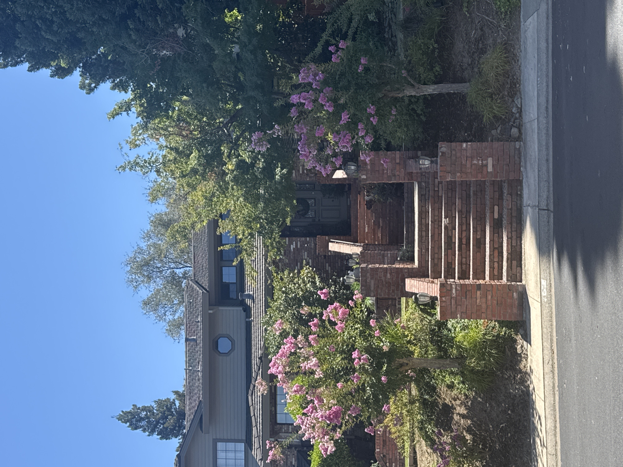 The image shows a two-story house with a gray exterior and a dark shingled roof, located in Roseville, United States of America. A prominent feature is a wide, multi-tiered brick staircase leading up to the front entrance, which is flanked by lush green trees and bushes. Two flowering trees with pink blossoms are visible on either side of the lower part of the staircase. The house has several windows, including a distinctive round window on the upper floor. The area appears to be a residential street with a sidewalk and asphalt road in the foreground. The sky is clear and blue, indicating a sunny day. The overall impression is a well-maintained, suburban residence.