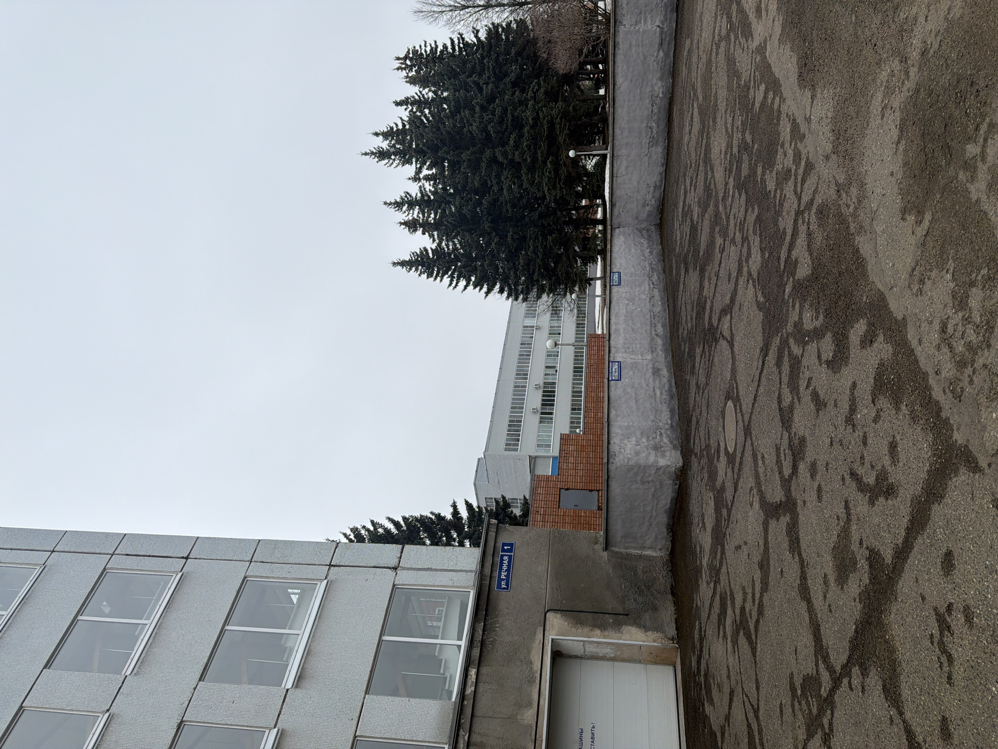 The image depicts an urban scene in Chaikovsky, Russia. A building with a sign reading "ул. Речная 1" (Rechnaya Street 1) is visible. Nearby are several tall fir trees next to a building with many windows. The road has wet patches.