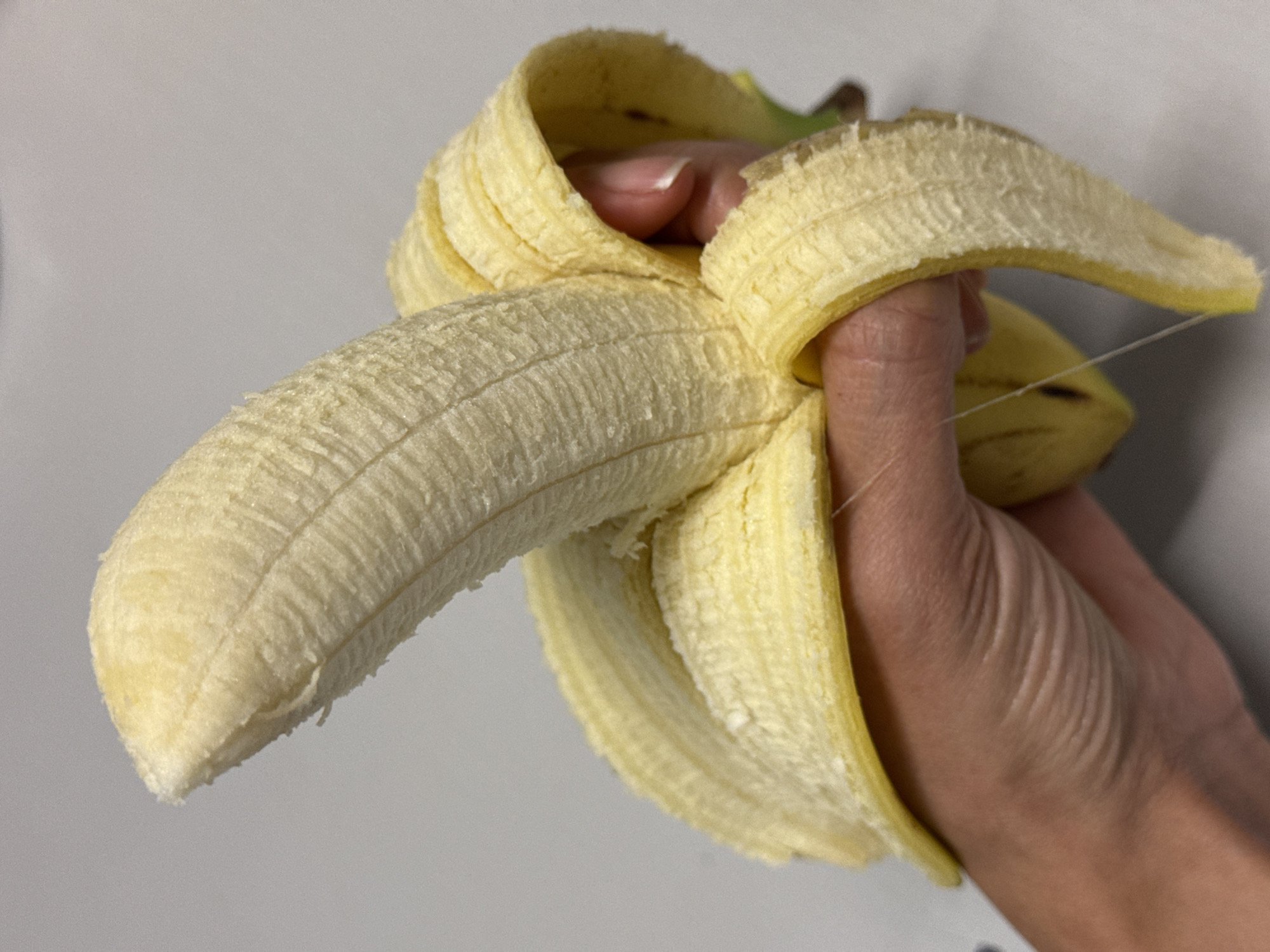 A partially peeled banana is held in a person's hand against a plain light gray background. The banana peel is folded back to expose the fruit. A thin strand is visible hanging from the banana.