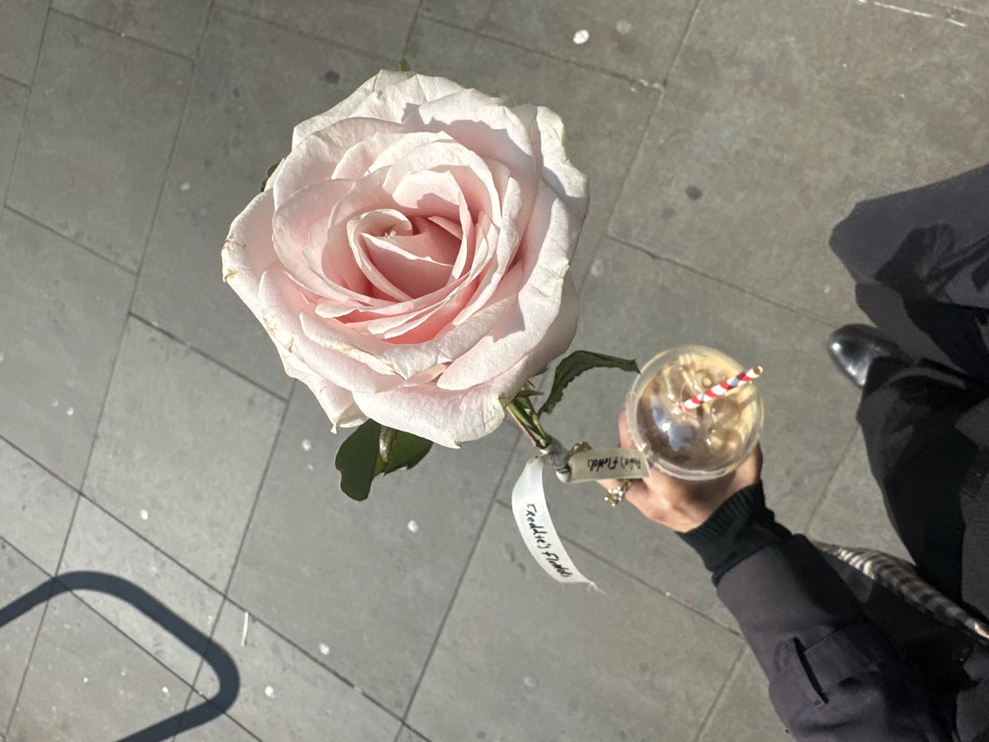 A high-angle shot captures a person holding a large, pale pink rose and an iced coffee drink, with a gray tiled ground beneath. The rose, the focal point, is in full bloom and has a white tag attached to its stem, labeled "Freddie's Flowers." The iced coffee, in a clear plastic cup with a red and white striped straw, is held in the person's other hand. A silver ring is visible on their finger. The person is wearing a black jacket and black shoes. The background shows a concrete floor made of square tiles. The scene appears to be taken outdoors in daylight, possibly in London, based on the presence of "Freddie's Flowers."
