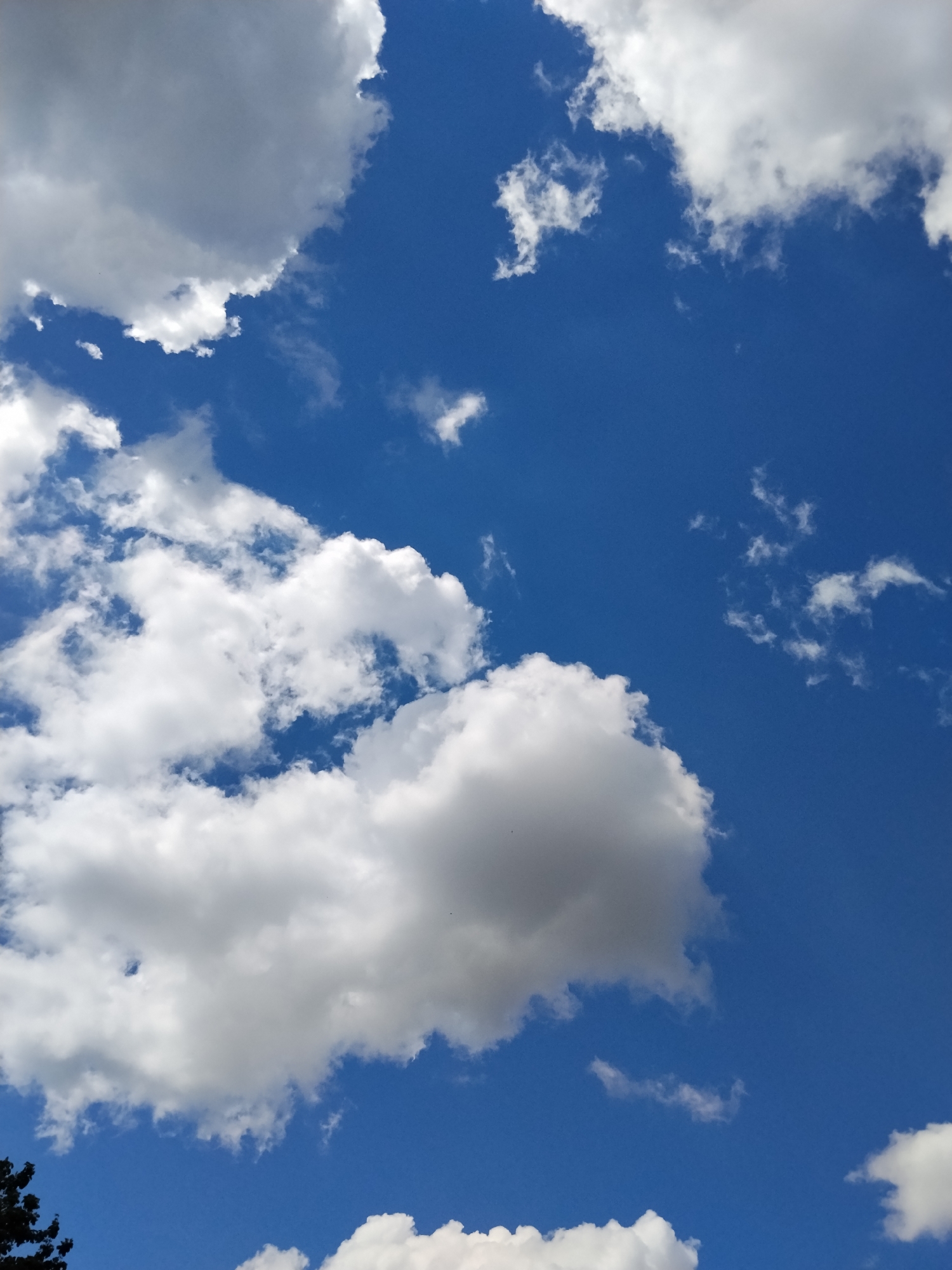 The image depicts a bright blue sky with scattered cumulus clouds. The clouds are predominantly white with some gray shading, suggesting variations in density and sunlight. Some trees are barely visible at the bottom left corner of the frame. The location is presumed to be Ustyvytsia, Ukraine. No people, subjects, objects, actions, or interactions are visible other than the clouds in the sky.
