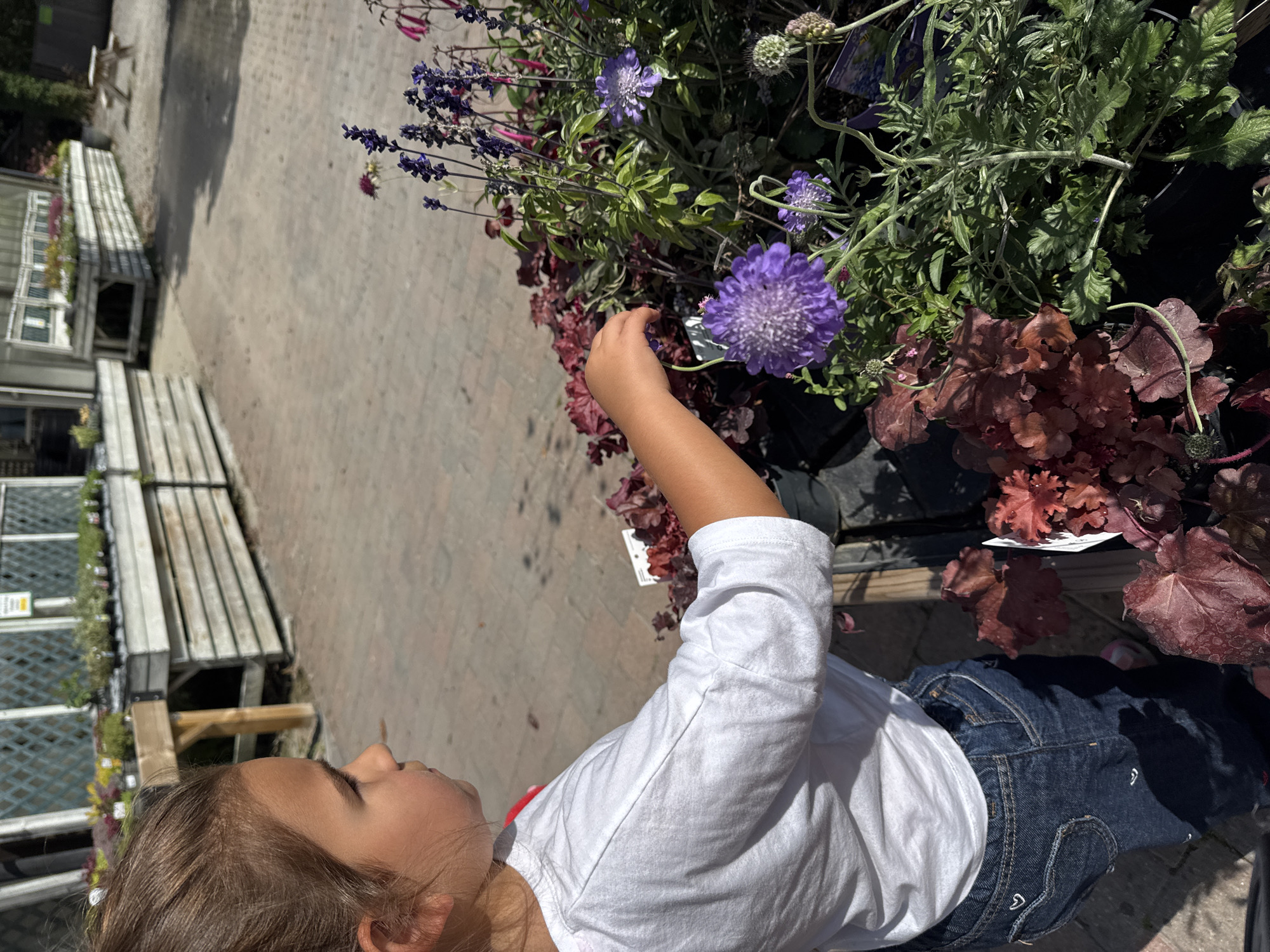 A young girl with brown hair pulled back is seen from the side, wearing a white t-shirt and blue jeans. She is in a garden center in Clonmel, Ireland, looking at a selection of plants. Her right hand is extended towards a purple flower. In the background, there are wooden planters filled with various plants and flowers, a paved walkway, and a wooden picnic table. The lighting suggests it is daytime, with sunlight casting shadows.
