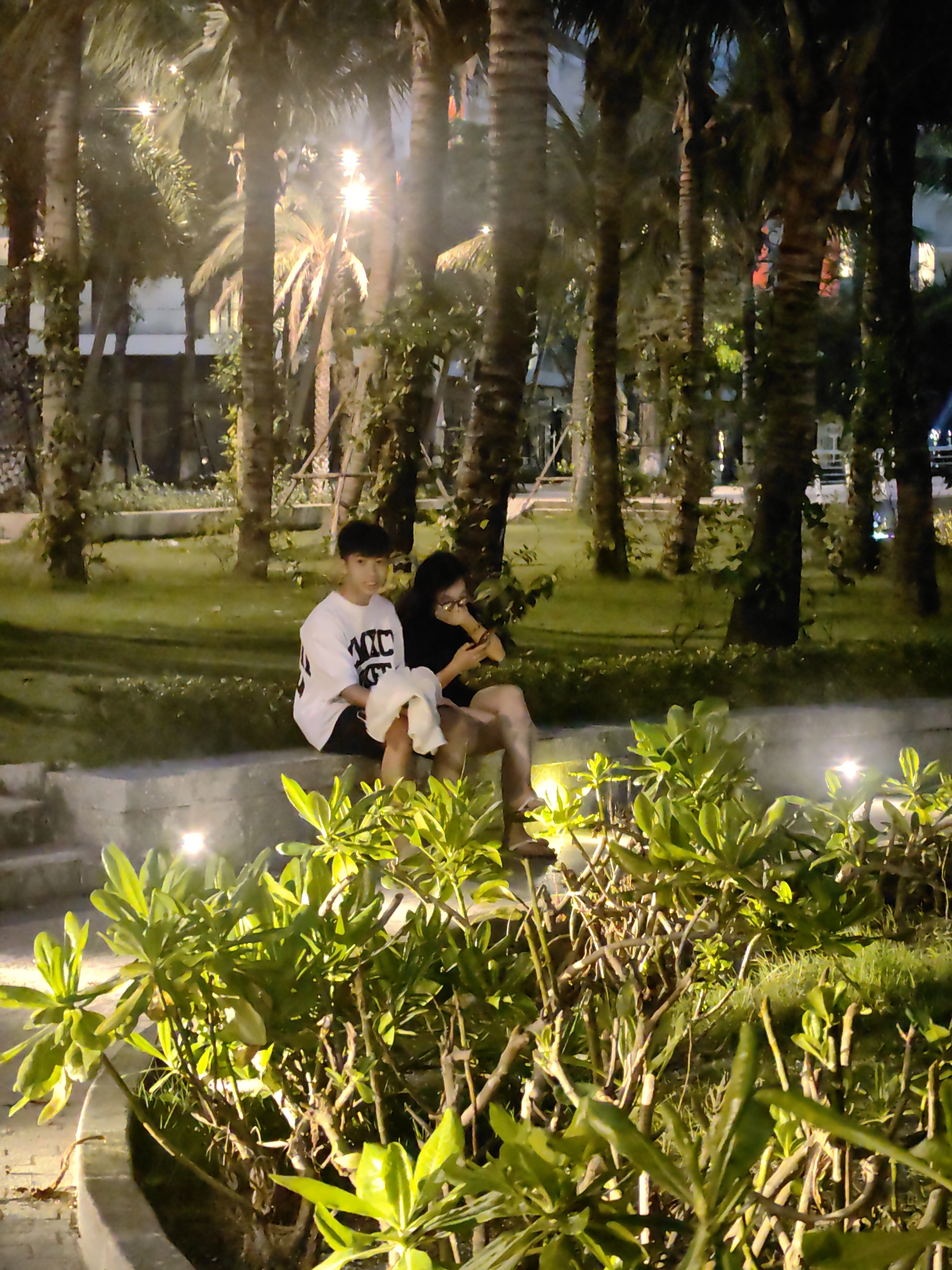 Two individuals are sitting on a low concrete wall in an outdoor, landscaped area. Palm trees are visible in the background, illuminated by several outdoor lights. The foreground features a planter filled with leafy green plants. The location is in Bai Chay Ward, Vietnam.