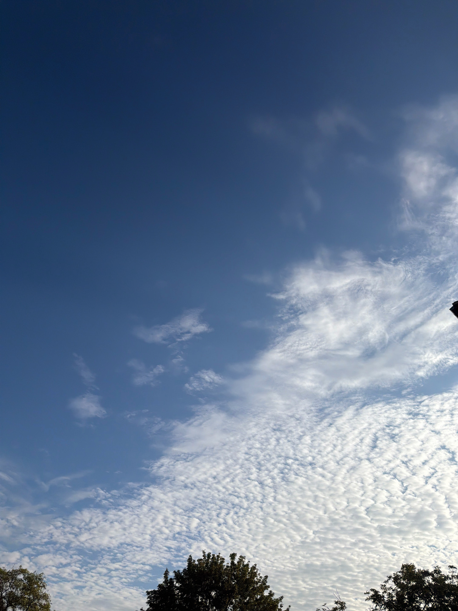The image captures a clear blue sky with scattered white clouds. The clouds appear in various formations, from wispy cirrus clouds higher in the sky to more textured altocumulus clouds closer to the horizon. The lower part of the image shows the silhouettes of trees, indicating an outdoor setting, likely a park or residential area. The lighting suggests it is daytime, with the sun likely positioned to the right, as evidenced by the brightness of the clouds in that area. There are no people or specific identifiable landmarks visible in the image. The scene is serene and natural.