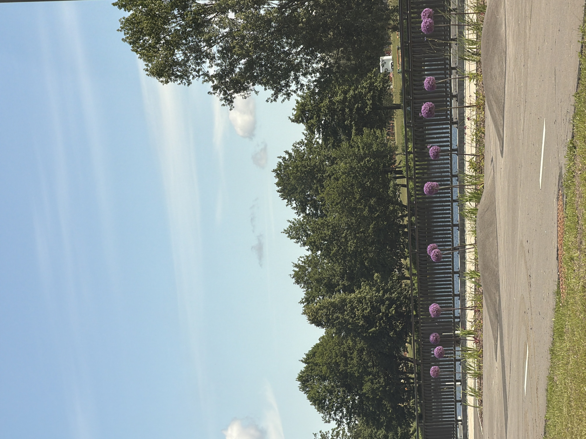 The image captures a sunny day in Riga, Latvia, possibly at a park or recreational area. In the foreground, there is a paved path with white lines, suggesting a road or cycling lane, with grassy verges on either side. A row of purple spherical allium flowers stands in a landscaped bed behind the path, with a black metal fence and a body of water visible beyond. Further in the background, a dense line of green trees forms a backdrop, and in the distance, a white trailer is parked. The sky is a clear blue with a few wispy clouds. The scene is serene and appears to be a public outdoor space.