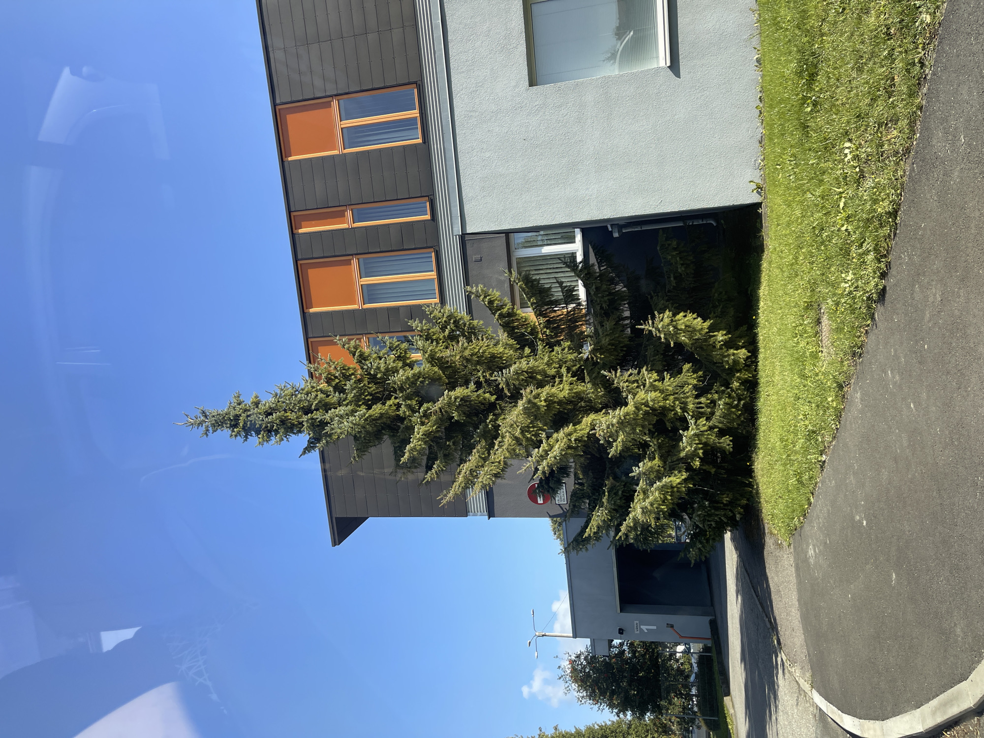 The image depicts a modern building with a grey exterior and dark grey panels on the upper level, accented by bright orange window frames. A tall evergreen tree stands prominently in front of the building, with a well-maintained lawn surrounding it and a paved pathway in the foreground. The sky is clear and blue. The building appears to be an office or residential complex. Based on the signs in the image, it is located at Pärnu mnt 238, Tallinn, Estonia. The sign "VÄRAV 1" indicates "Gate 1". Another sign shows a red circular prohibition symbol with a horizontal bar, possibly related to traffic or access control. The reflection on the upper part of the image suggests it was taken from inside a vehicle, likely through a car window.