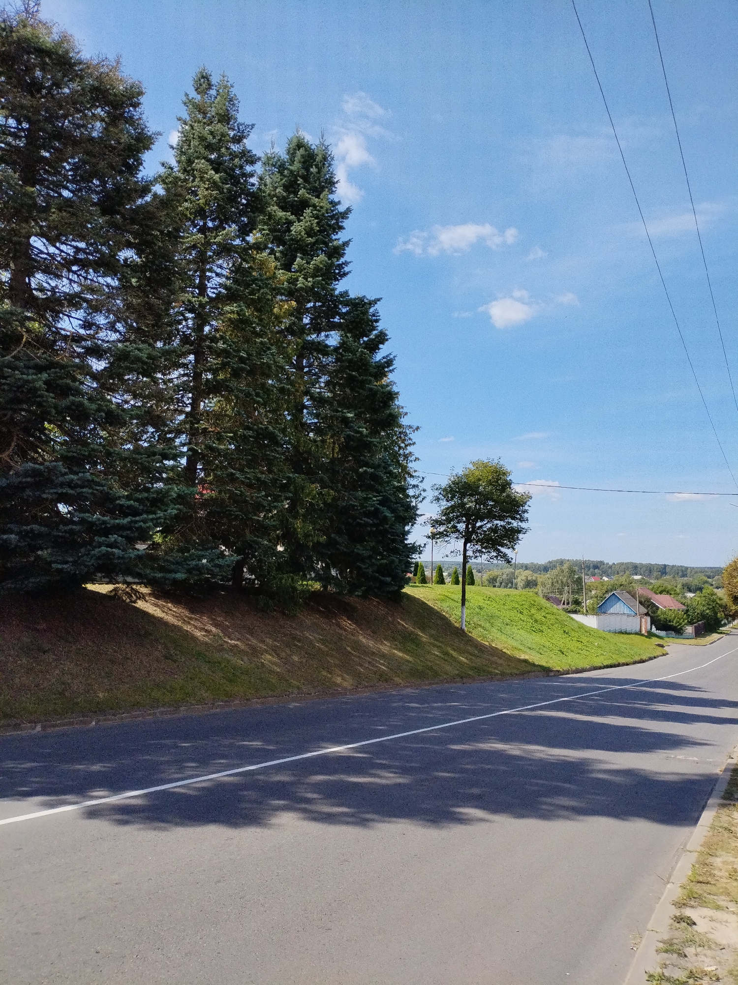 The image depicts a roadside scene in Bialynichy, Belarus. In the foreground, a paved road runs diagonally from the bottom right to the center of the frame, marked with a white line down its middle. The road surface is asphalt and shows dappled shadows from overhead foliage. To the left of the road, a grassy embankment slopes upward, bordered by a curb. A line of tall evergreen trees stands along the top of the embankment. Further up the slope, a single deciduous tree stands prominently. In the background, a cluster of houses with red and blue roofs are visible amidst greenery, suggesting a semi-rural or suburban setting. Power lines stretch across the top right portion of the image against a bright blue sky dotted with a few wispy clouds. The overall impression is a sunny day in a quiet, possibly residential area.