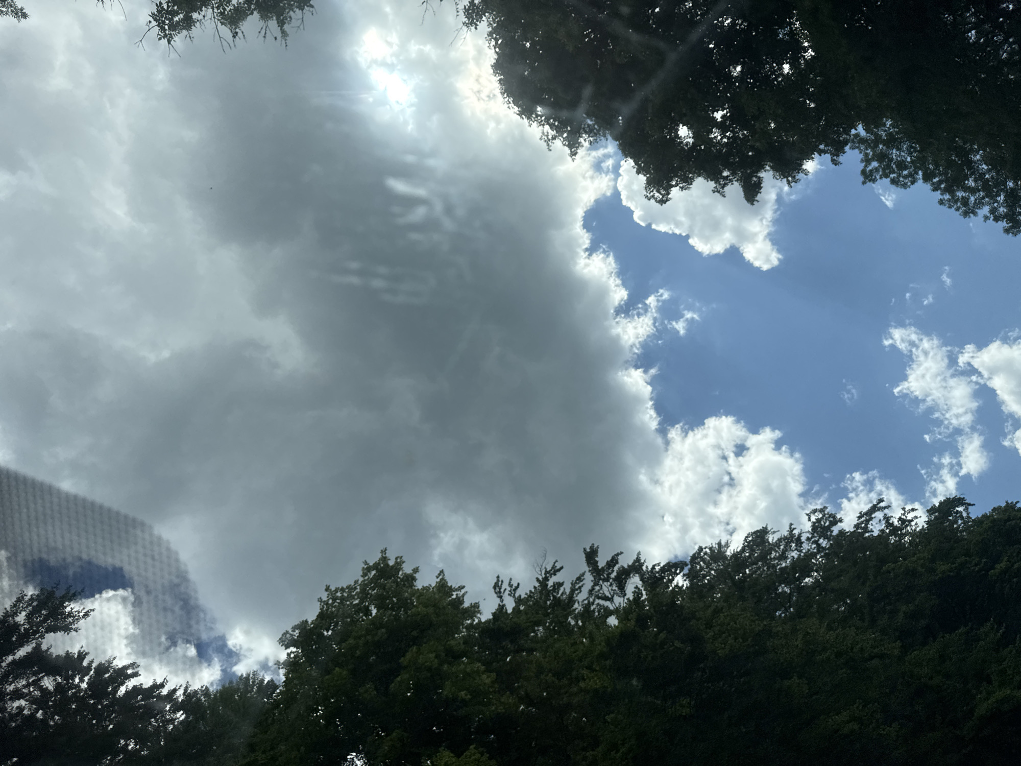 The image is a low-angle shot looking up at a sky filled with dramatic clouds and a bright sun. The top and bottom edges of the frame are dominated by dark green foliage from trees, suggesting a wooded area. Some of the foliage appears to be against a bright, textured surface, possibly a window screen or netting, on the left side of the image.
The sky is a mix of bright blue patches with fluffy white cumulus clouds and large, darker, more ominous gray storm clouds. Sunlight is filtering through the clouds, creating rays and highlighting some of the cloud formations. The overall impression of the sky is dynamic, with a transition between clear, sunny weather and approaching or lingering clouds.
The time of day appears to be daytime, likely mid-morning or afternoon, given the brightness of the sun. The weather seems mixed, with sunshine and clouds, potentially indicating a chance of rain or a recent shower. The location, Les Rousses, France, provides a general geographical context. There is no visible text in the image. The scene evokes a sense of natural beauty and the changing moods of the sky.
