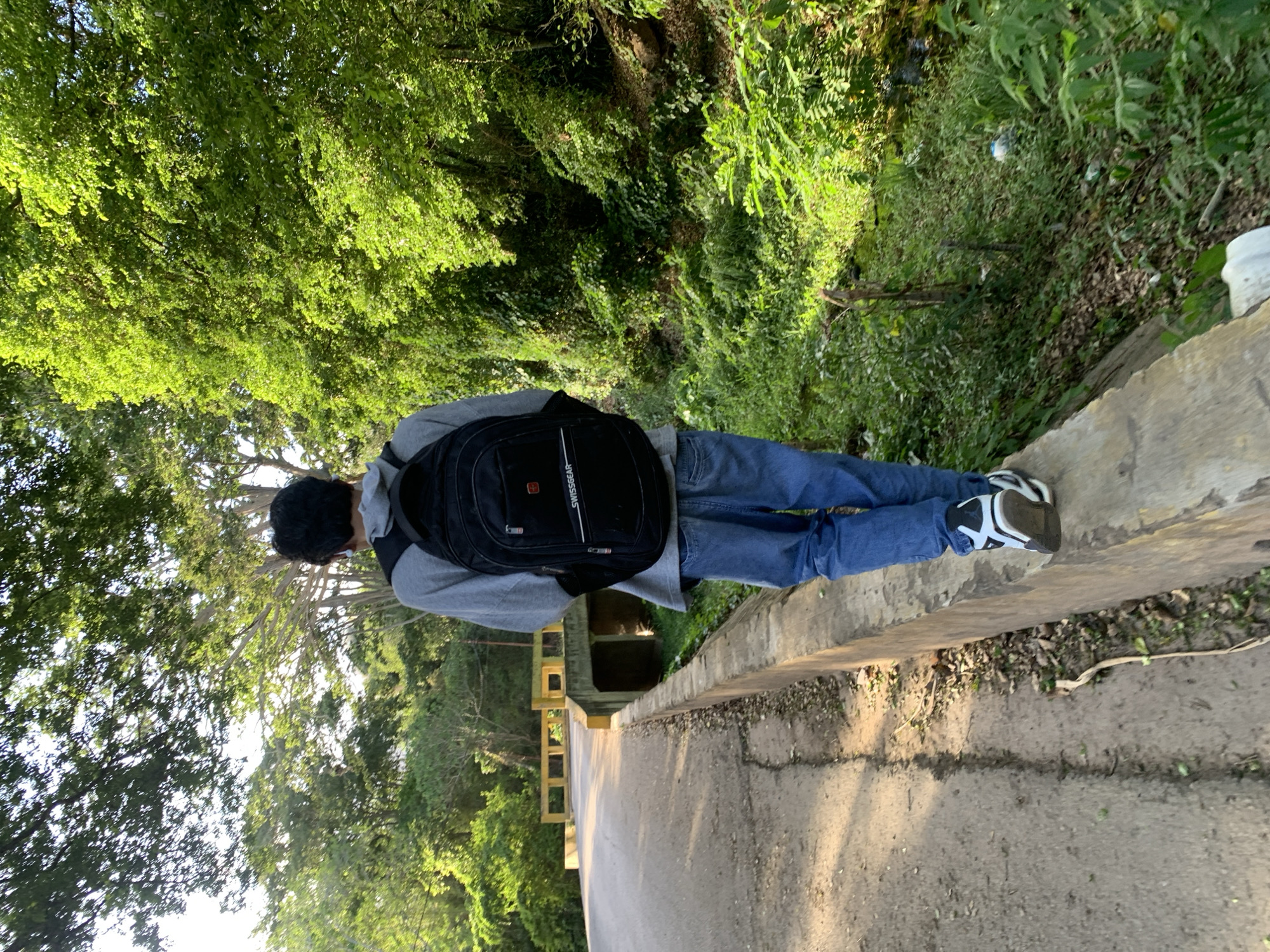 A person wearing a gray hoodie, blue jeans, and black and white sneakers walks away from the camera on a concrete ledge. The person is carrying a black backpack with a white "SWISSGEAR" logo. They are walking on a raised concrete barrier next to a paved road. To the right of the road, there is dense green vegetation and a small stream. A yellow concrete bridge is visible in the background, spanning over a small concrete culvert under the road. The scene appears to be in a natural, possibly rural, area within or on the outskirts of El Valle del Espíritu Santo, Venezuela, given the lush greenery and the bridge structure. The lighting suggests it is daytime, possibly late afternoon due to the warm light filtering through the trees.